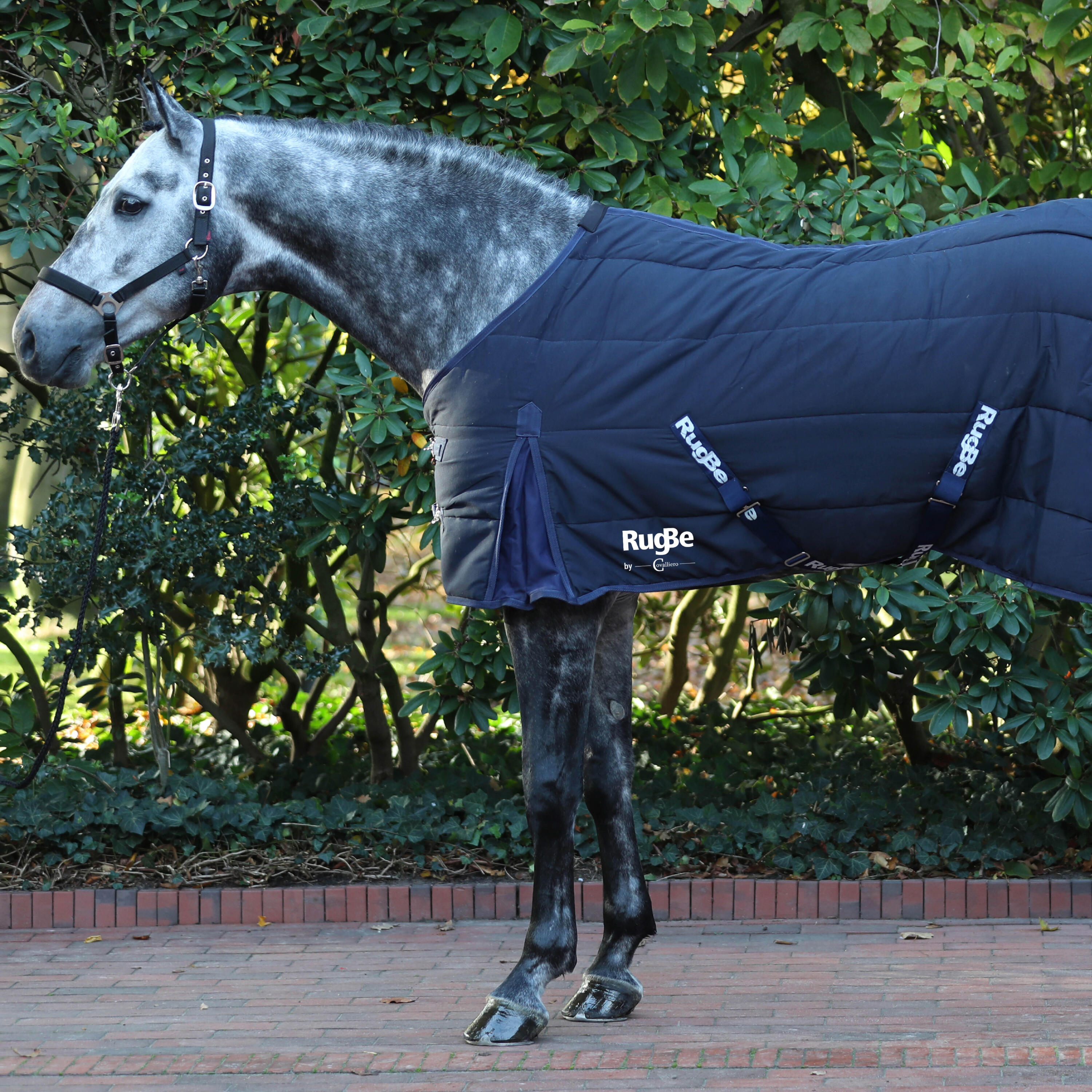 Couverture intérieur équitation cheval et poney - 150g RugBe Bleu 2/4