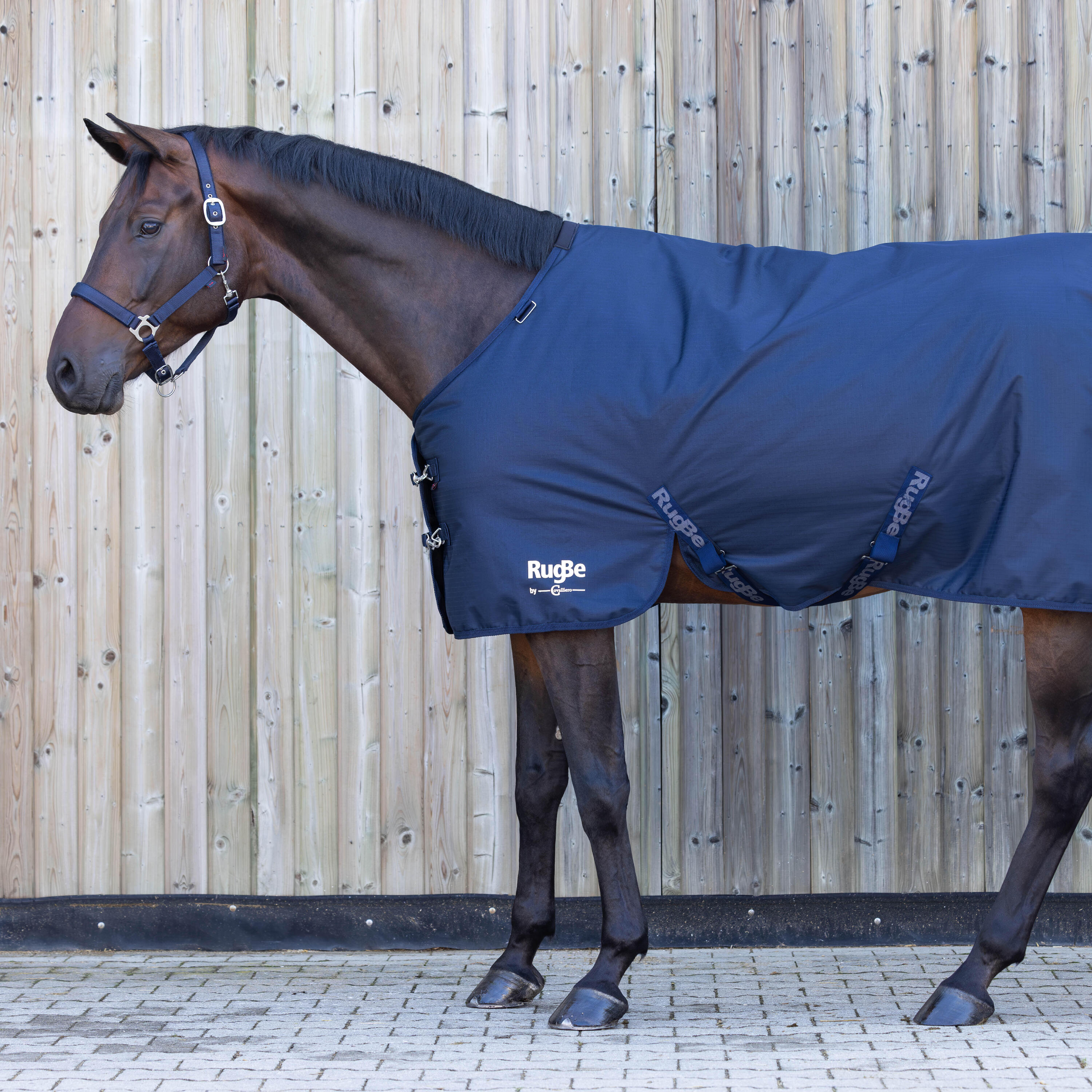 Couverture extérieur équitation imperméable cheval et poney - 200g RugBe Marine 2/5