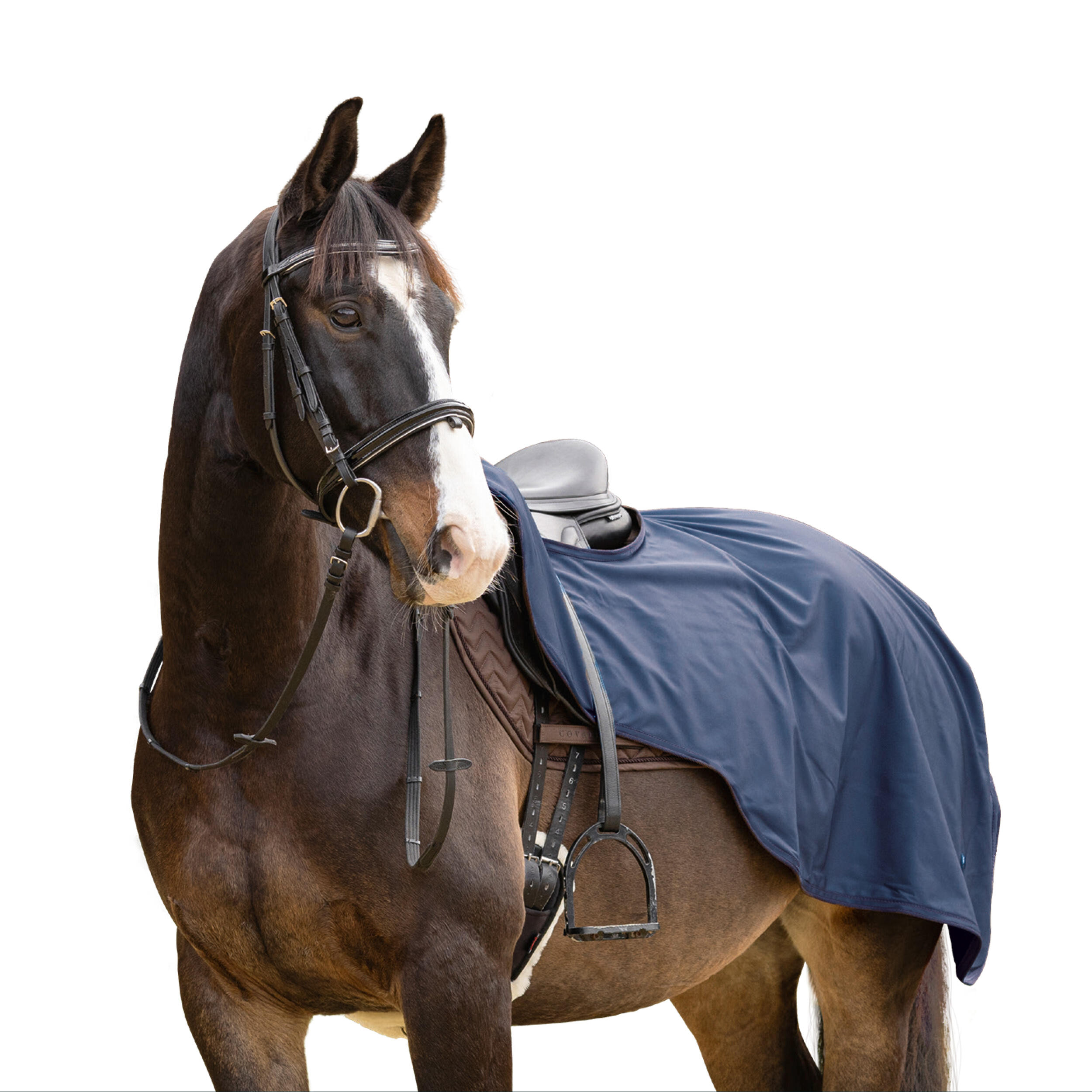 Couvre reins équitation imperméable et polaire cheval et poney - Bleu 2/2