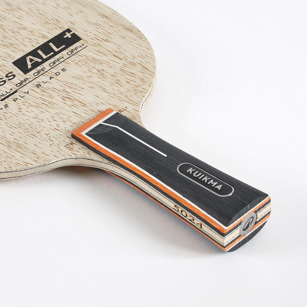 Reket za stoni tenis TTW PROGRESS ALL+