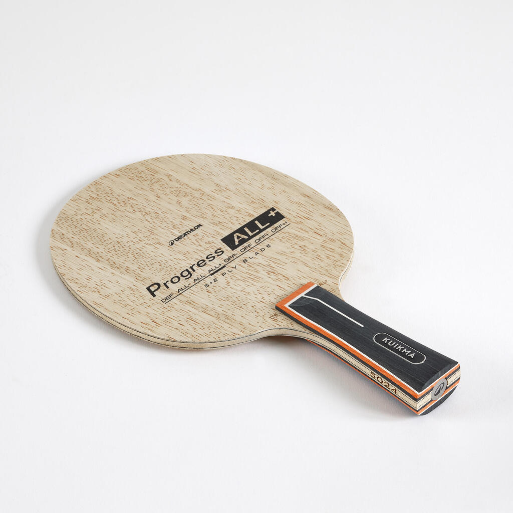 Reket za stoni tenis TTW PROGRESS ALL+