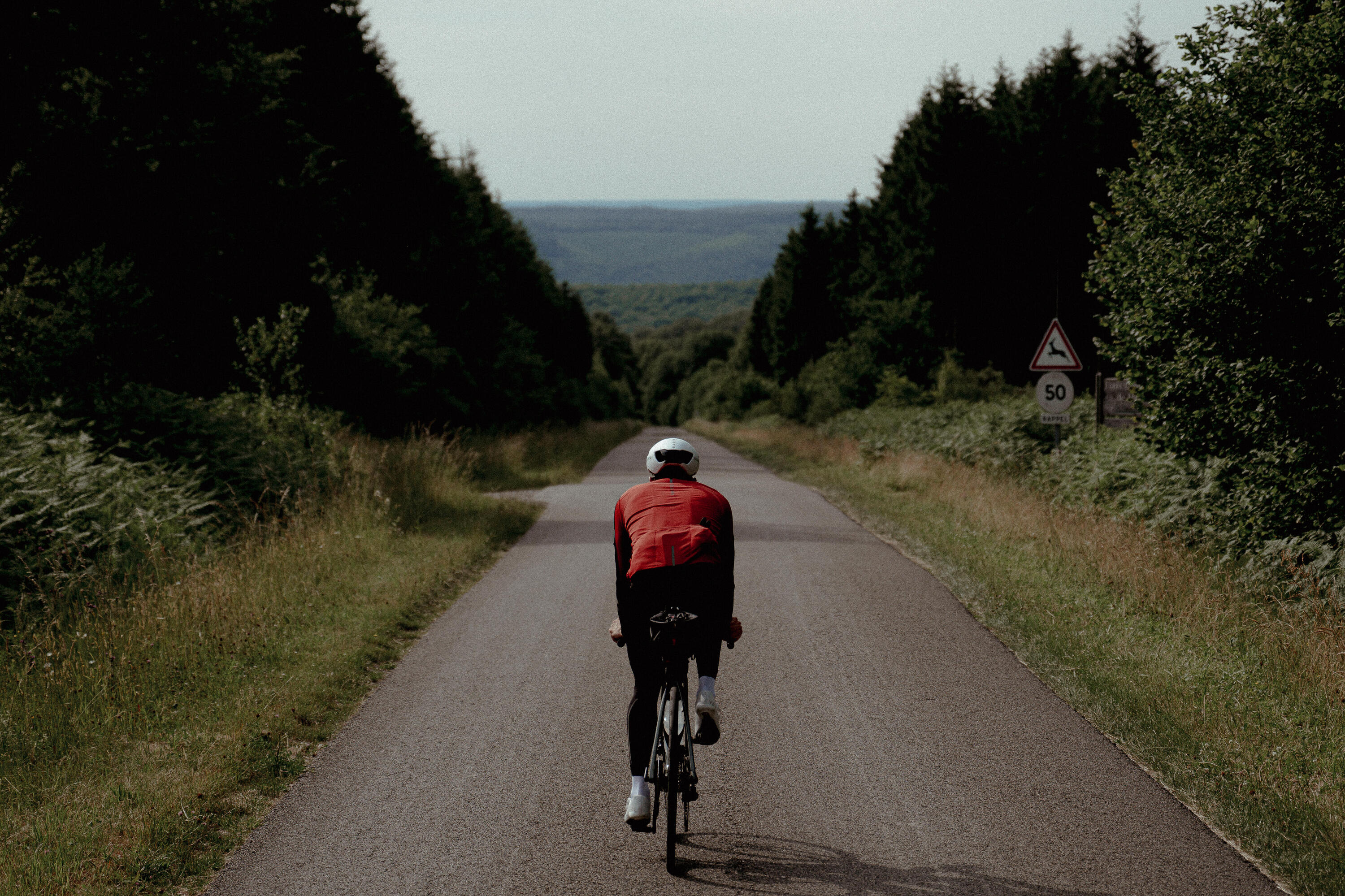 BERGRISAR BG012 Fietsshirt voor heren, lange mouwen, MTB-shirt met 3 1 achterzakken, Groen, S