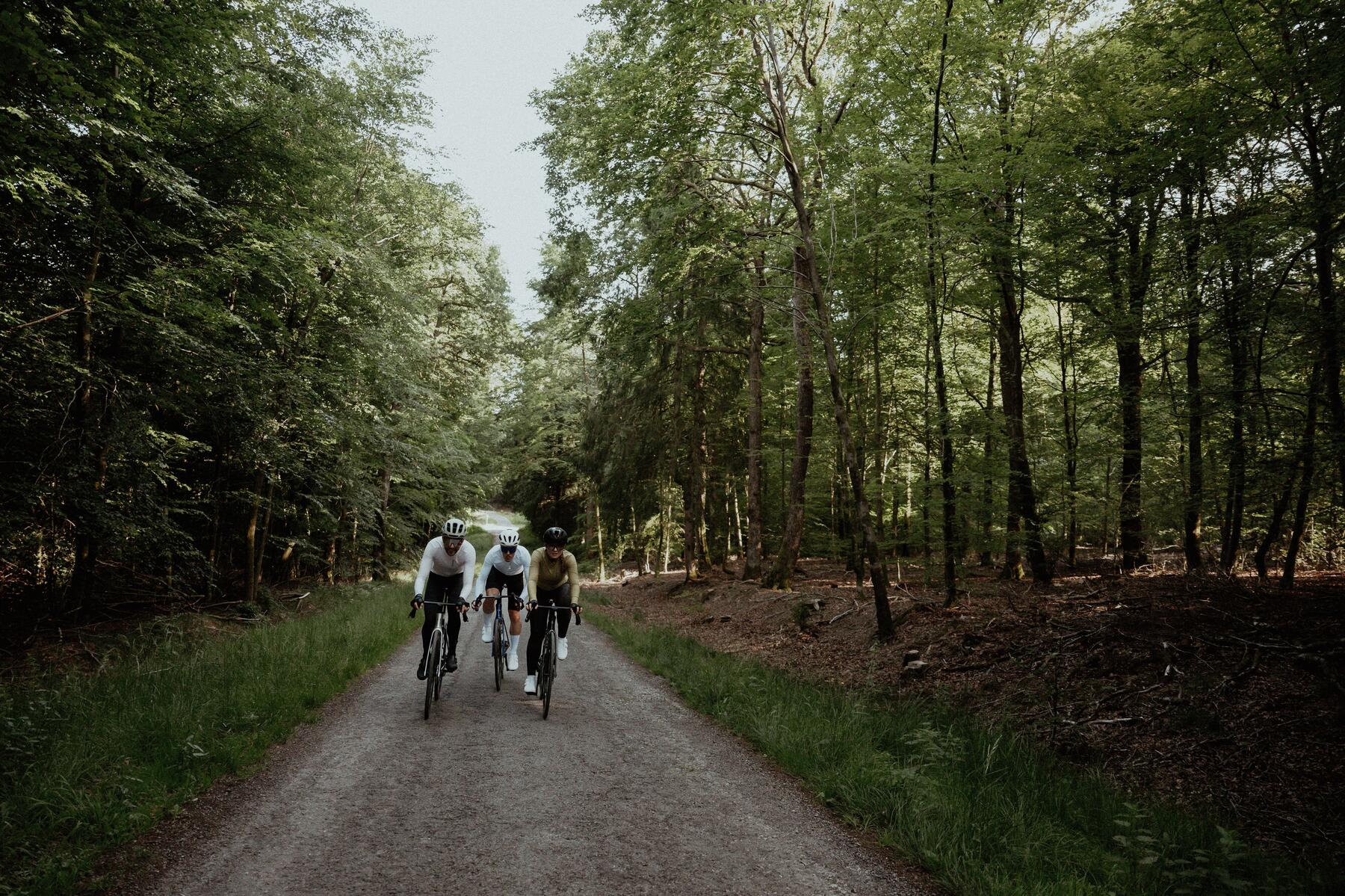 8 meilleurs endroits où faire du vélo de montagne près de Montréal