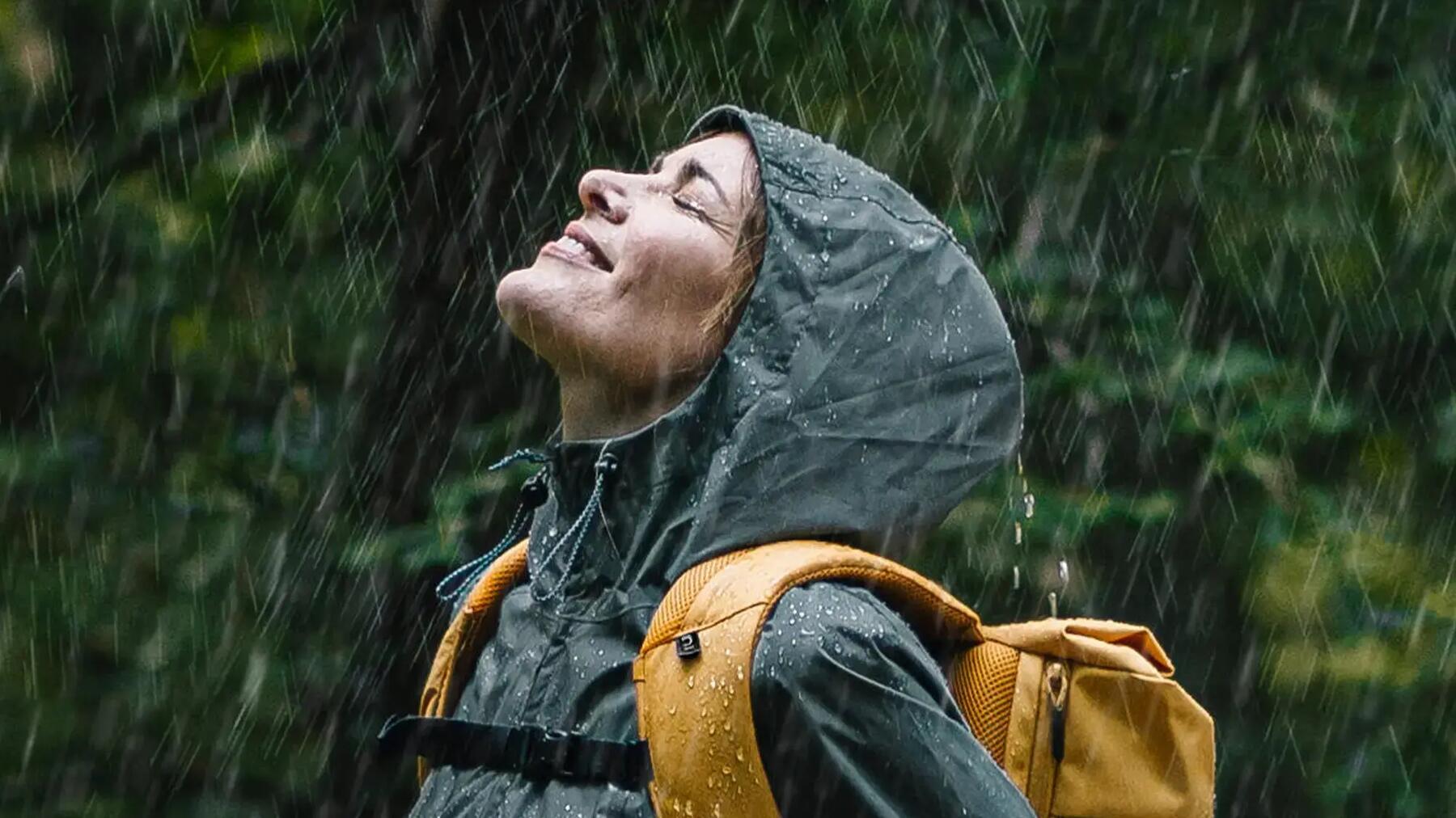 Die Natur riecht intensiver im Regen