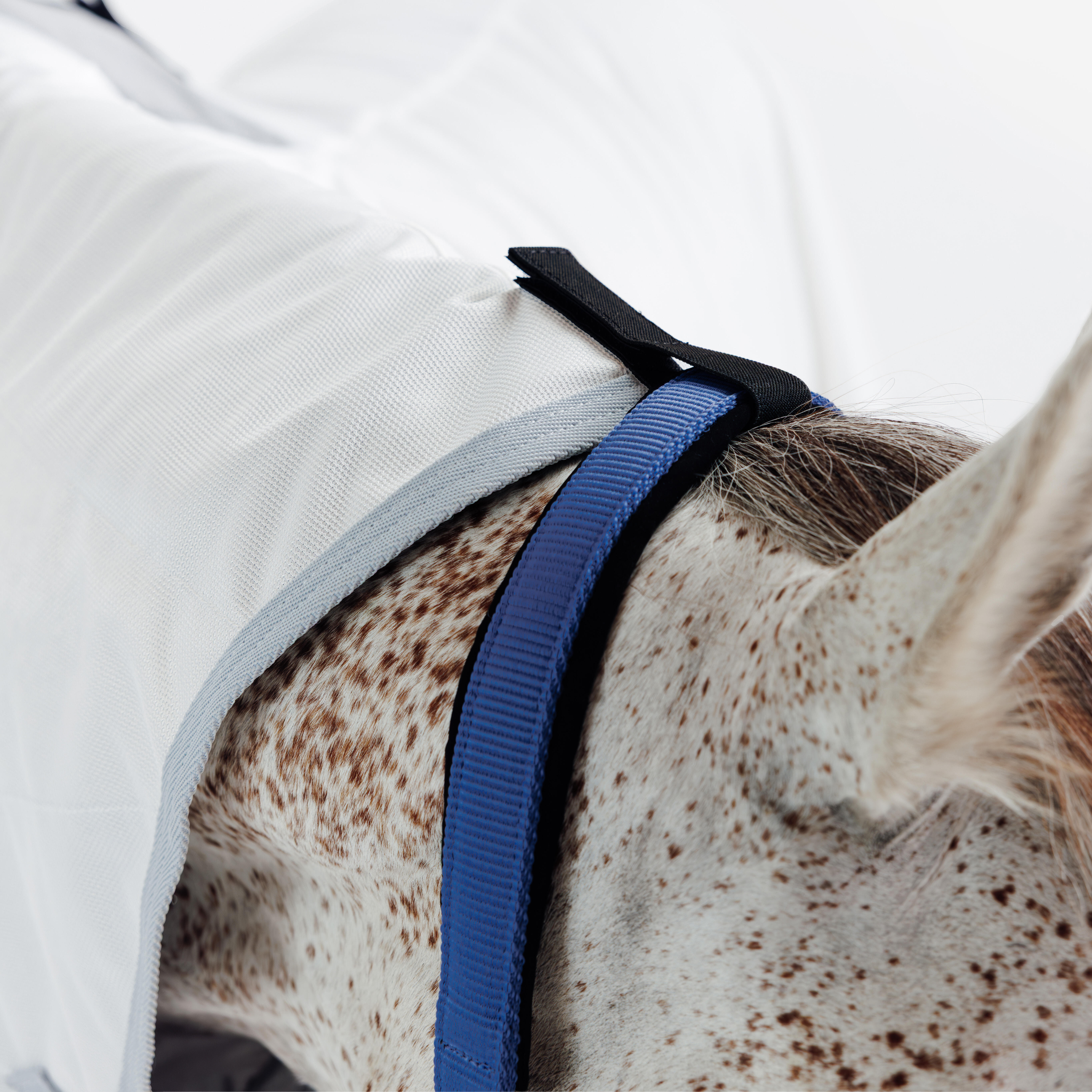 Chemise d’équitation anti-mouche pour cheval et poney, 500 - FOUGANZA