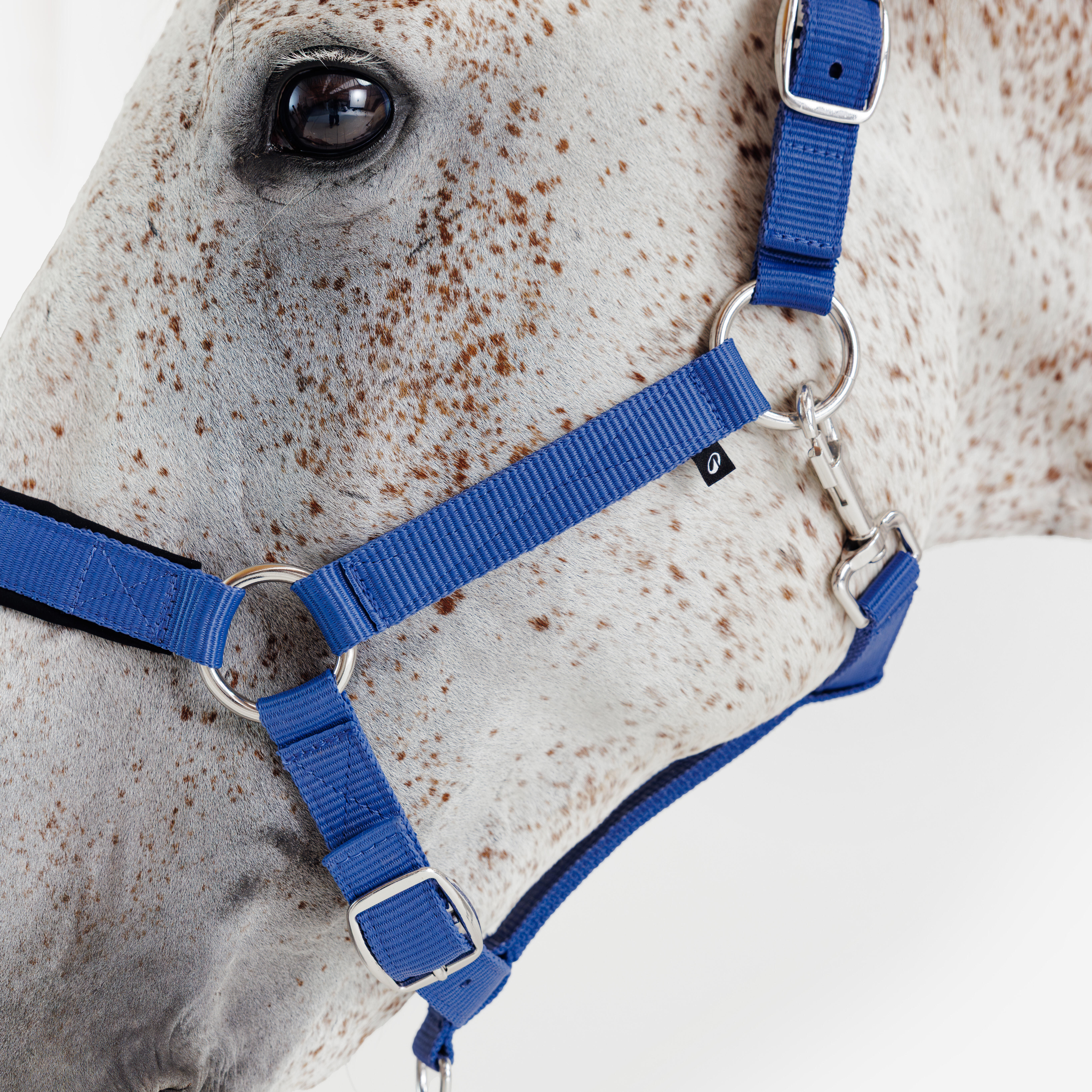 Licol d’équitation avec nubuck pour cheval - FOUGANZA