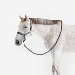 Kit licol et longe cheval en nubuck - Vert