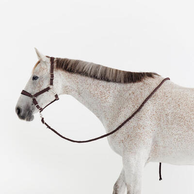 Set halster en touw voor paarden nubuck bruin