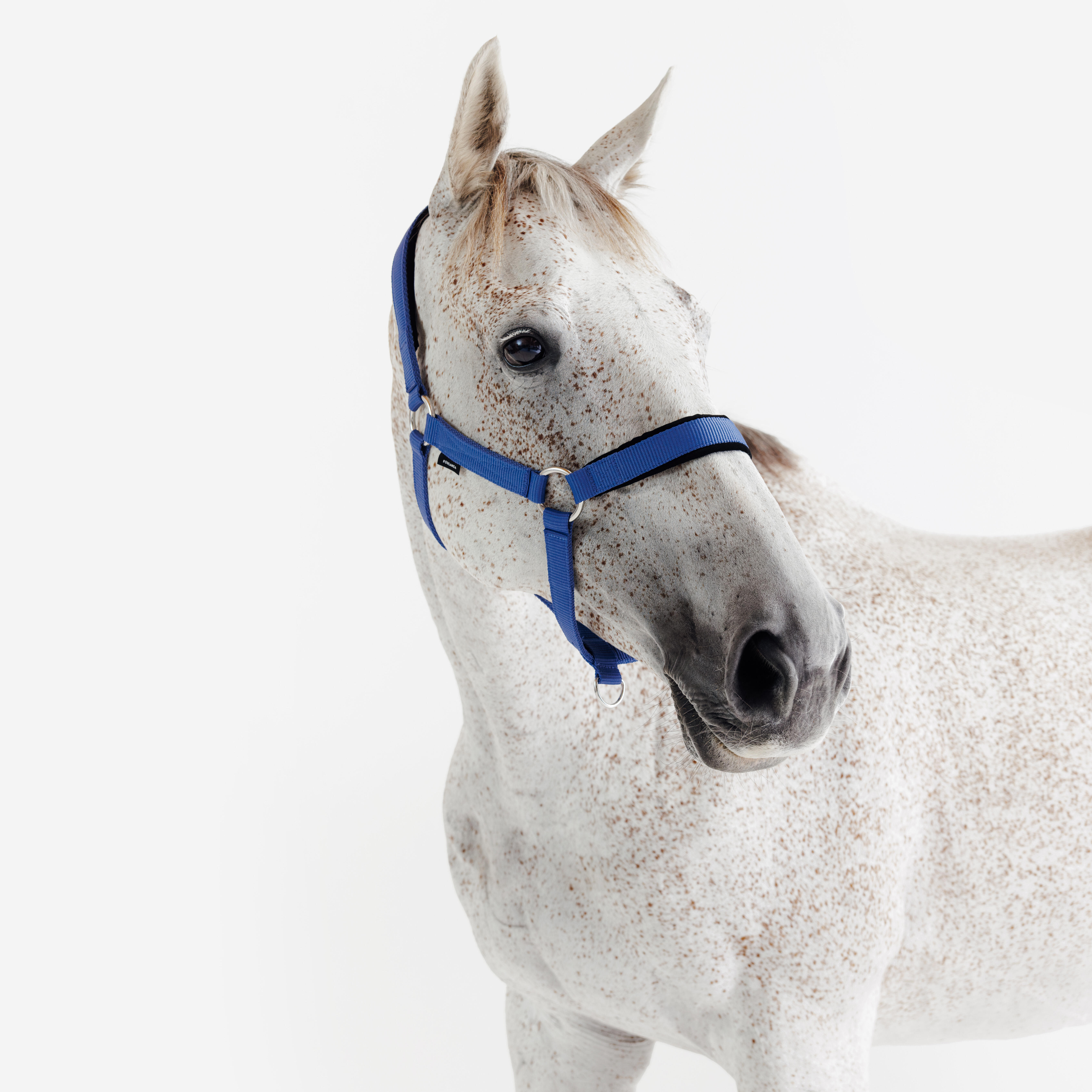 Licol d’équitation avec nubuck pour cheval - FOUGANZA