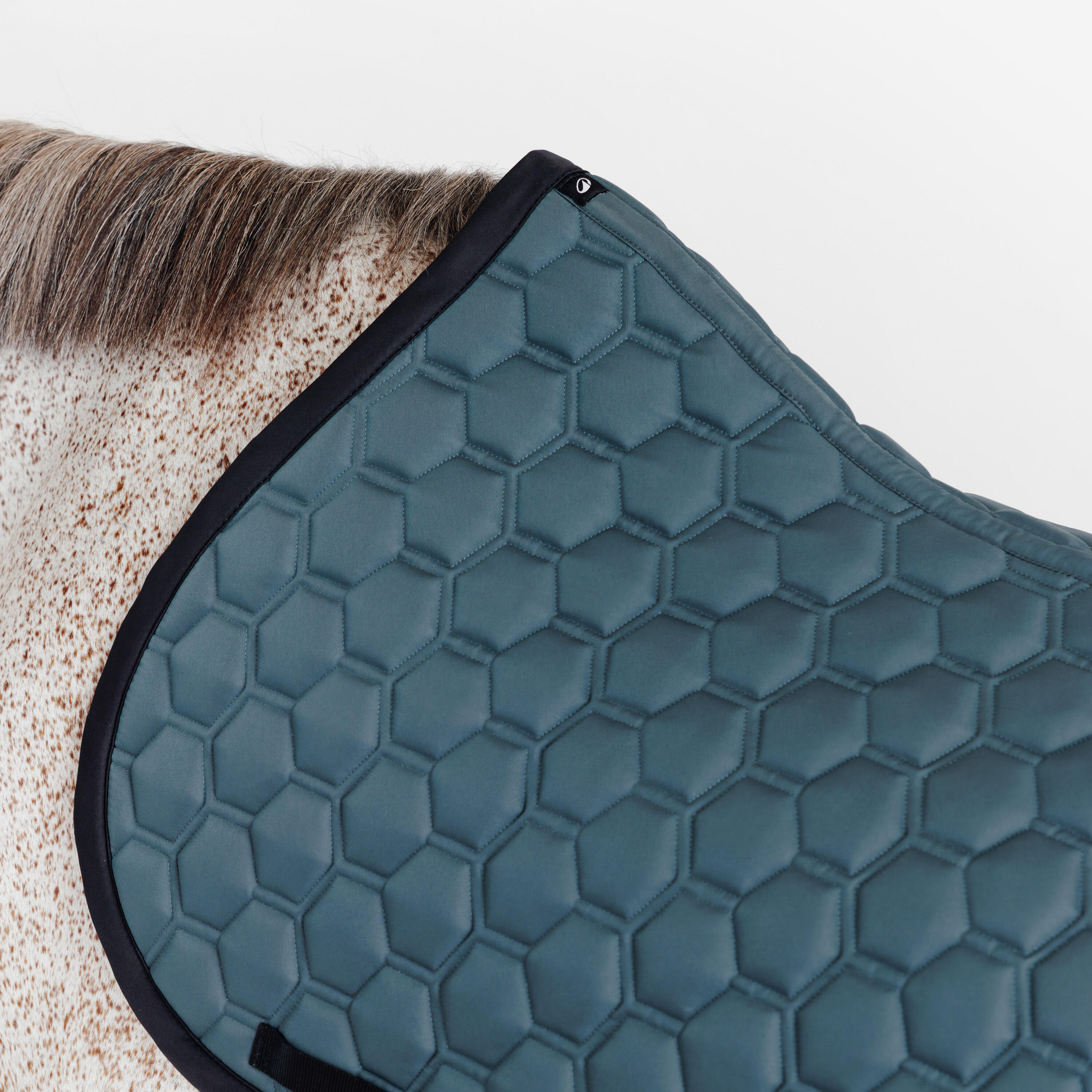 Tapis de selle d’équitation pour cheval et poney, 500 3/3