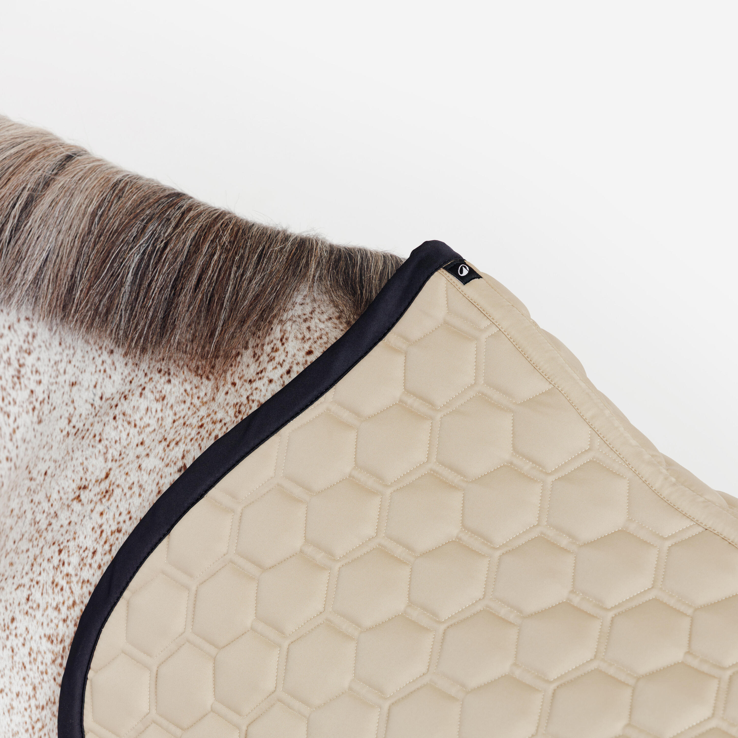Tapis de selle équitation cheval - 500 beige et noir 3/3