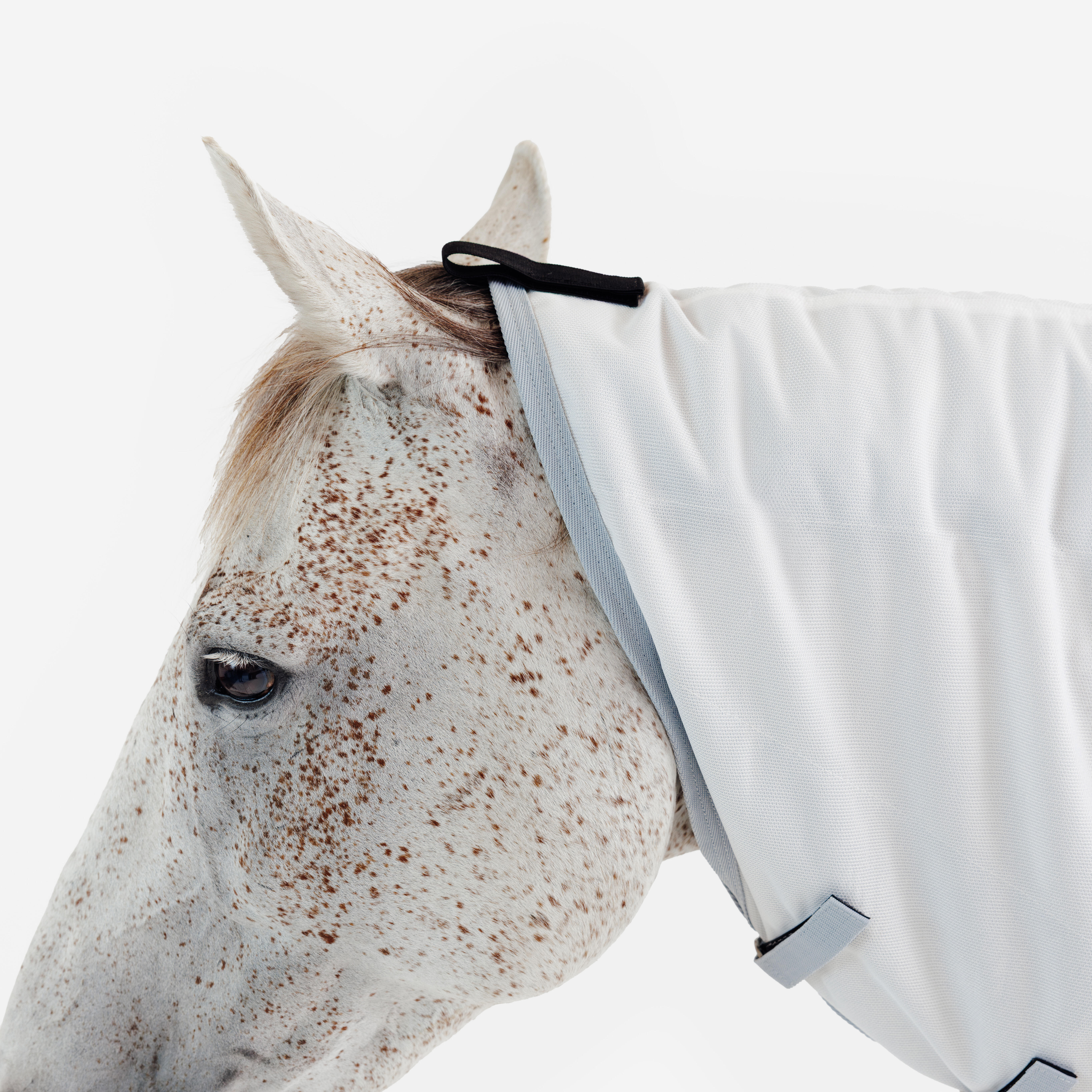 Chemise d’équitation anti-mouche pour cheval et poney, 500 - FOUGANZA