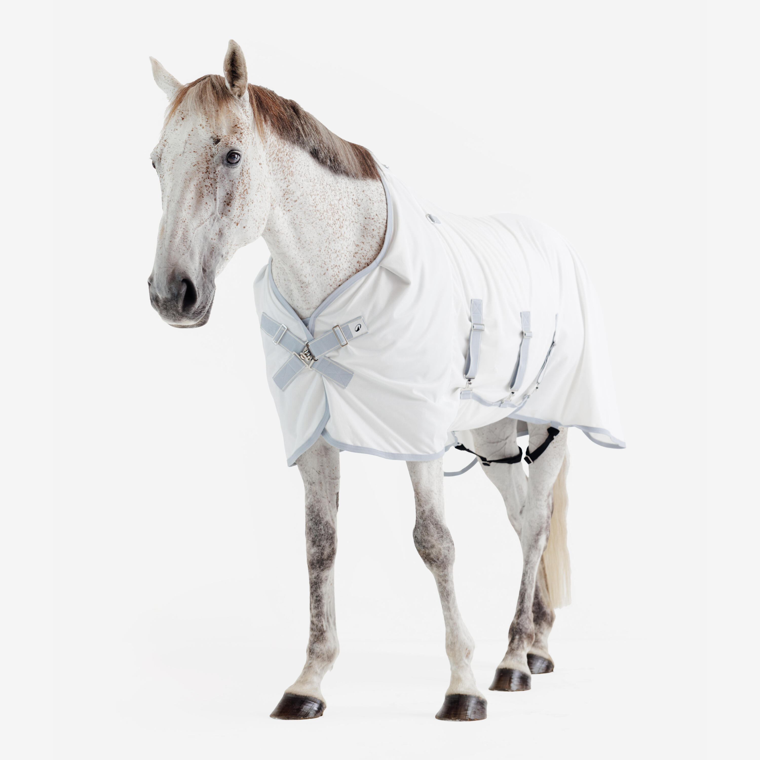 Chemise d’équitation anti-mouche pour cheval et poney, 500 6/14