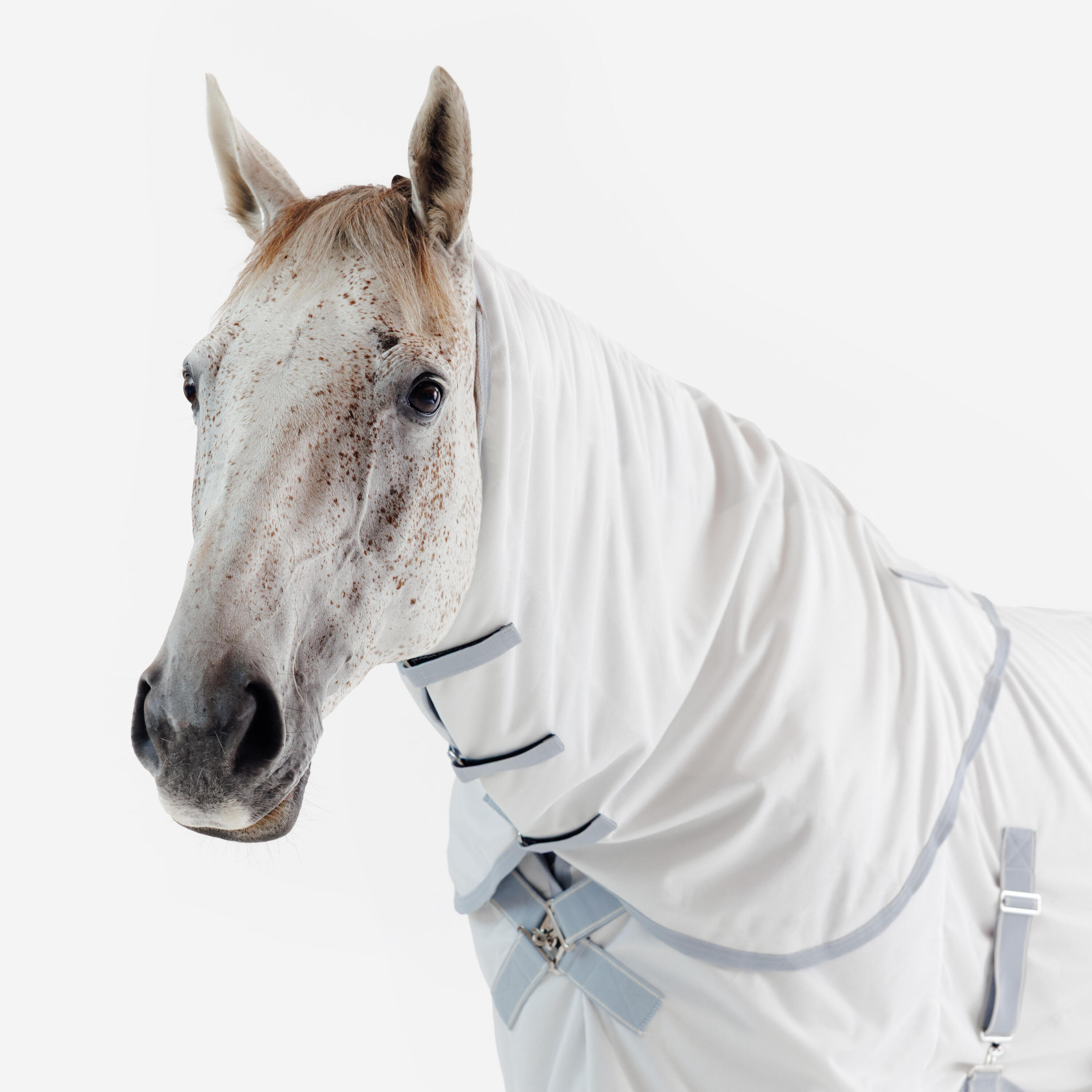 Chemise d’équitation anti-mouche pour cheval et poney, 500 10/14