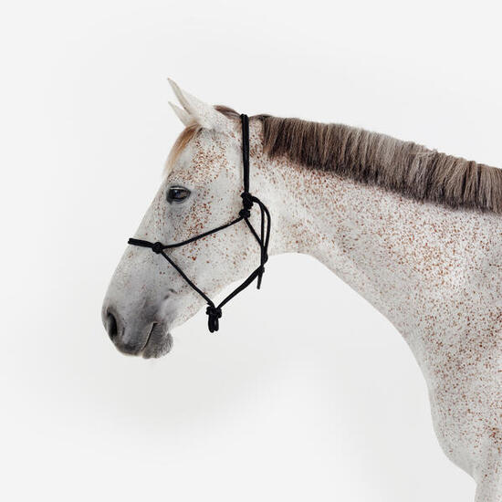 Licol équitation éthologique cheval et poney - noir