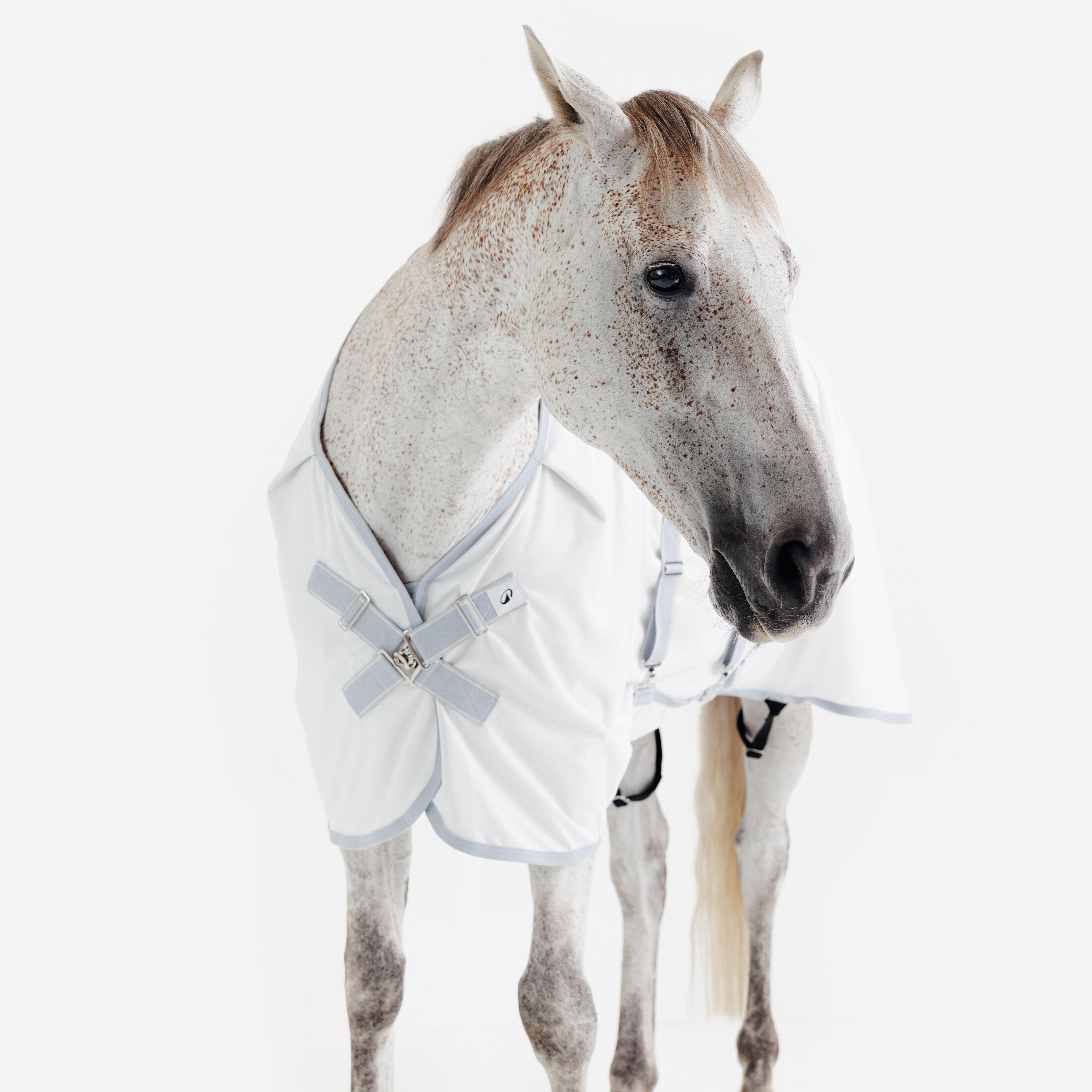 Chemise d’équitation anti-mouche pour cheval et poney, 500 - FOUGANZA