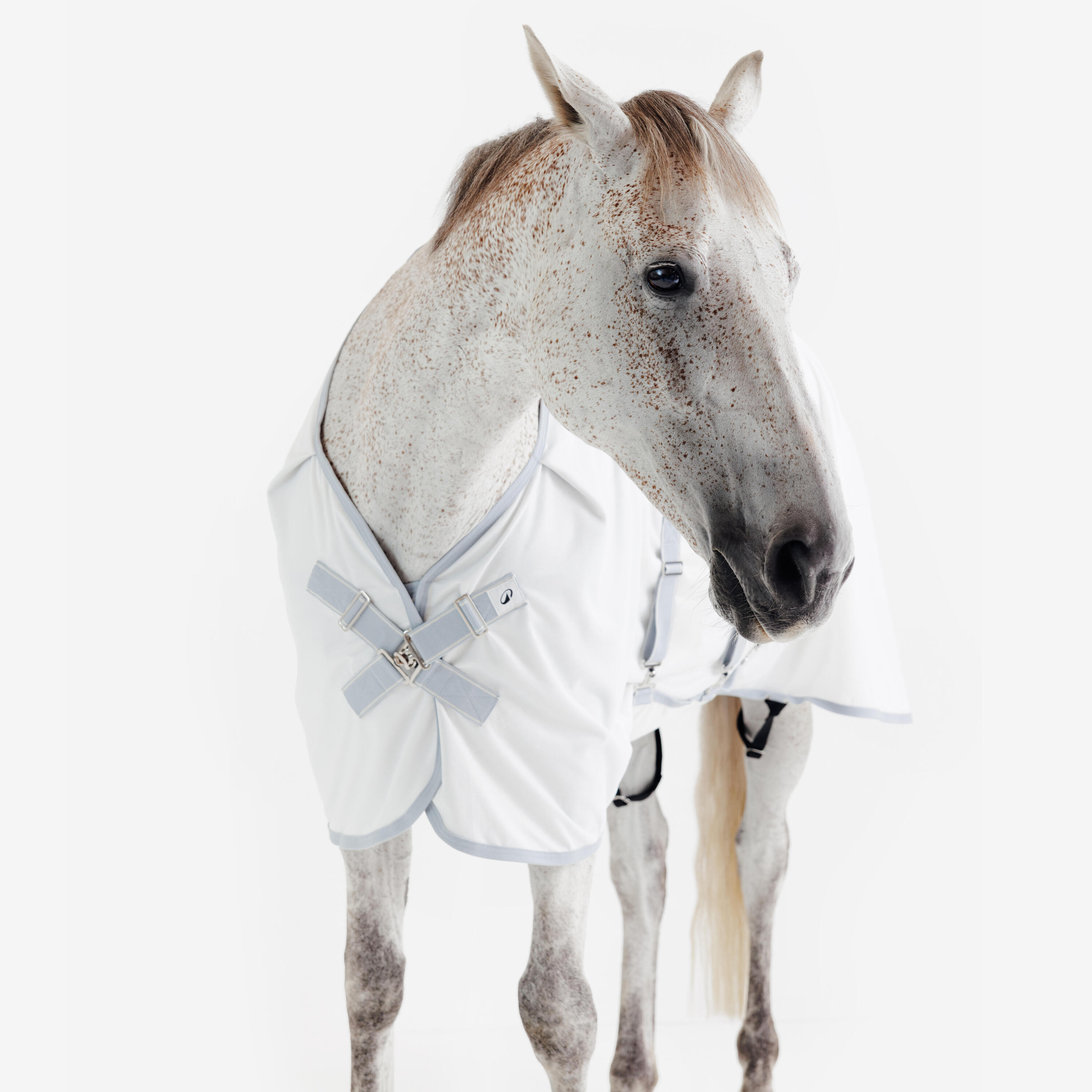 Chemise d’équitation anti-mouche pour cheval et poney, 500 5/14