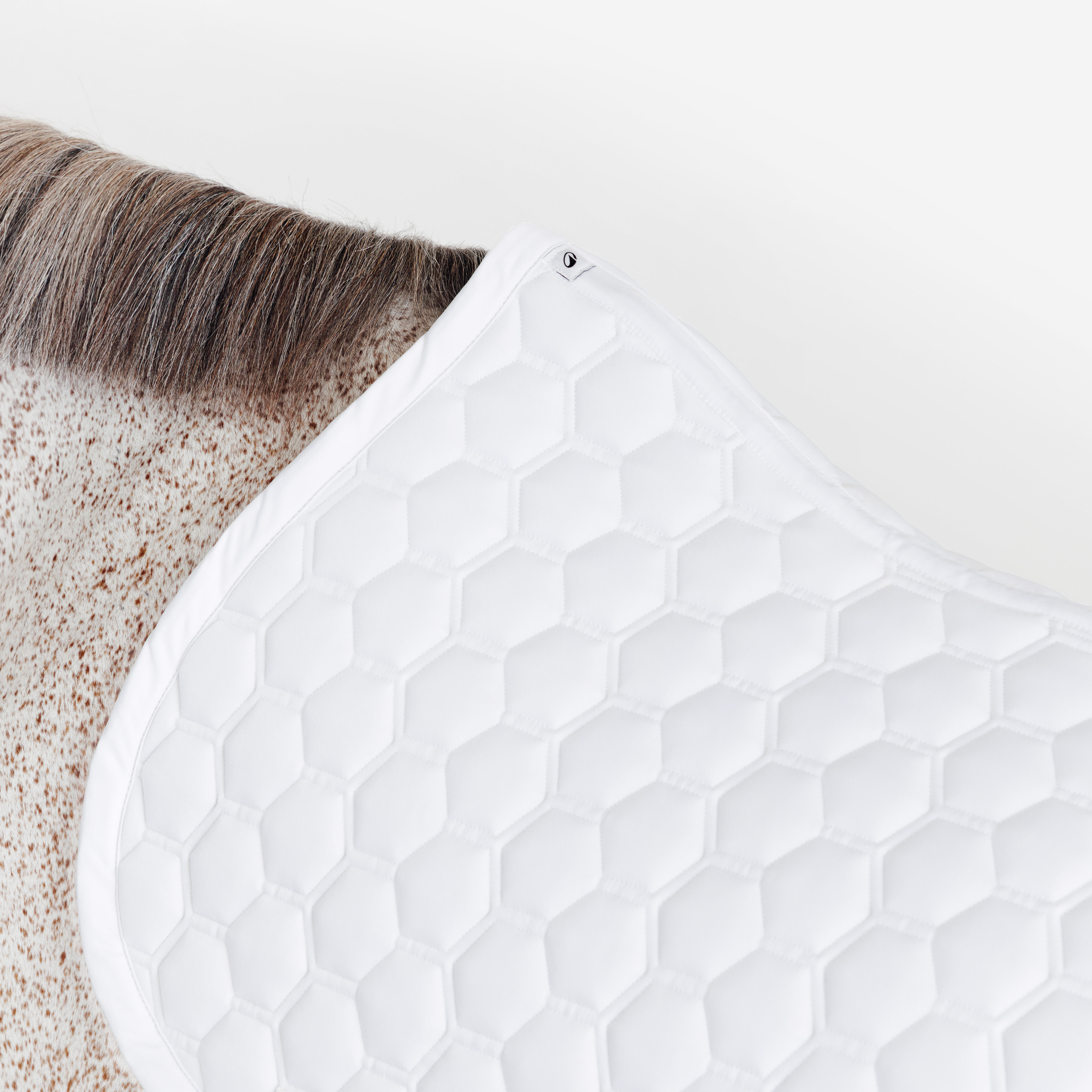 Tapis de selle d’équitation pour cheval, 500 - FOUGANZA