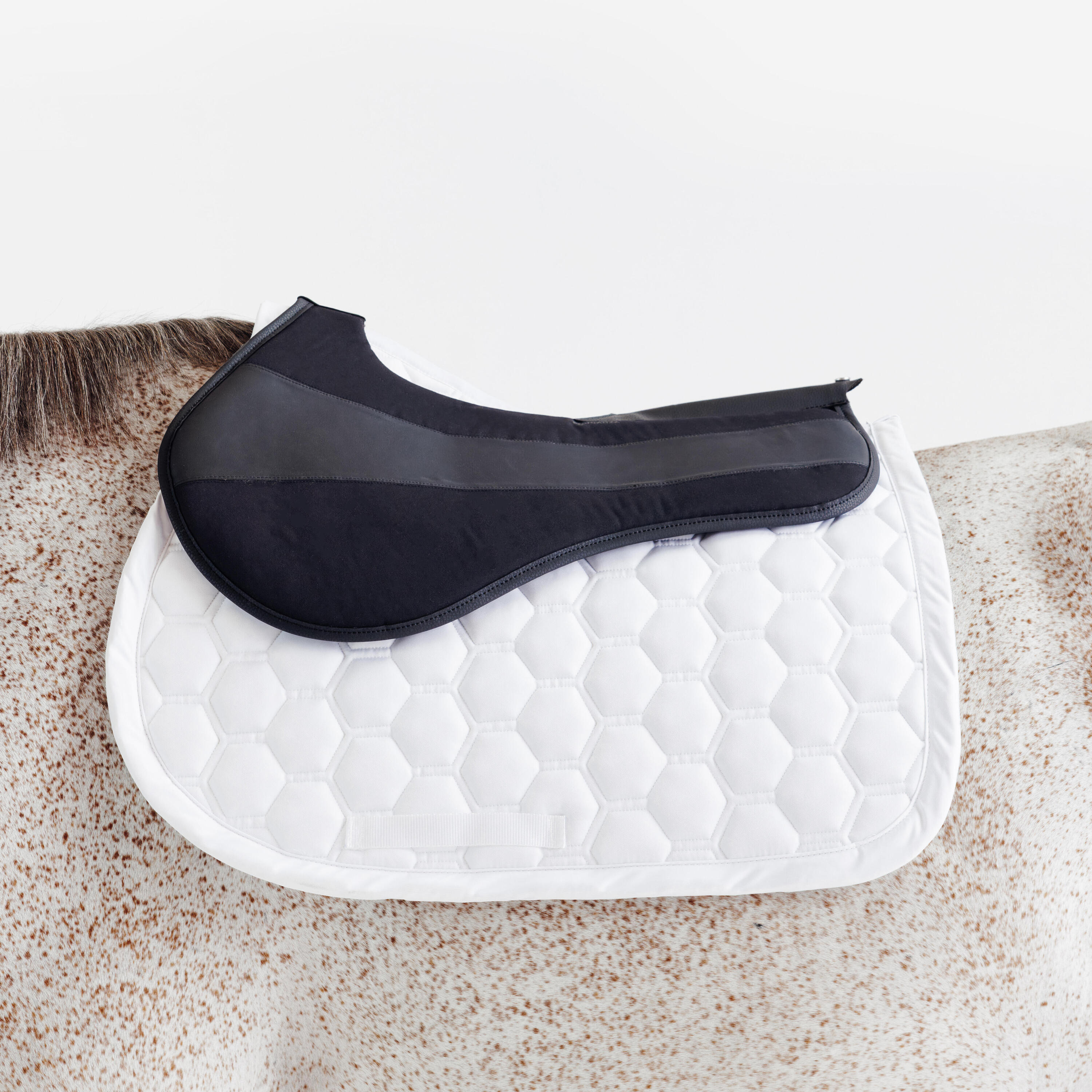 Sattelpad – 900 schwarz 5/10