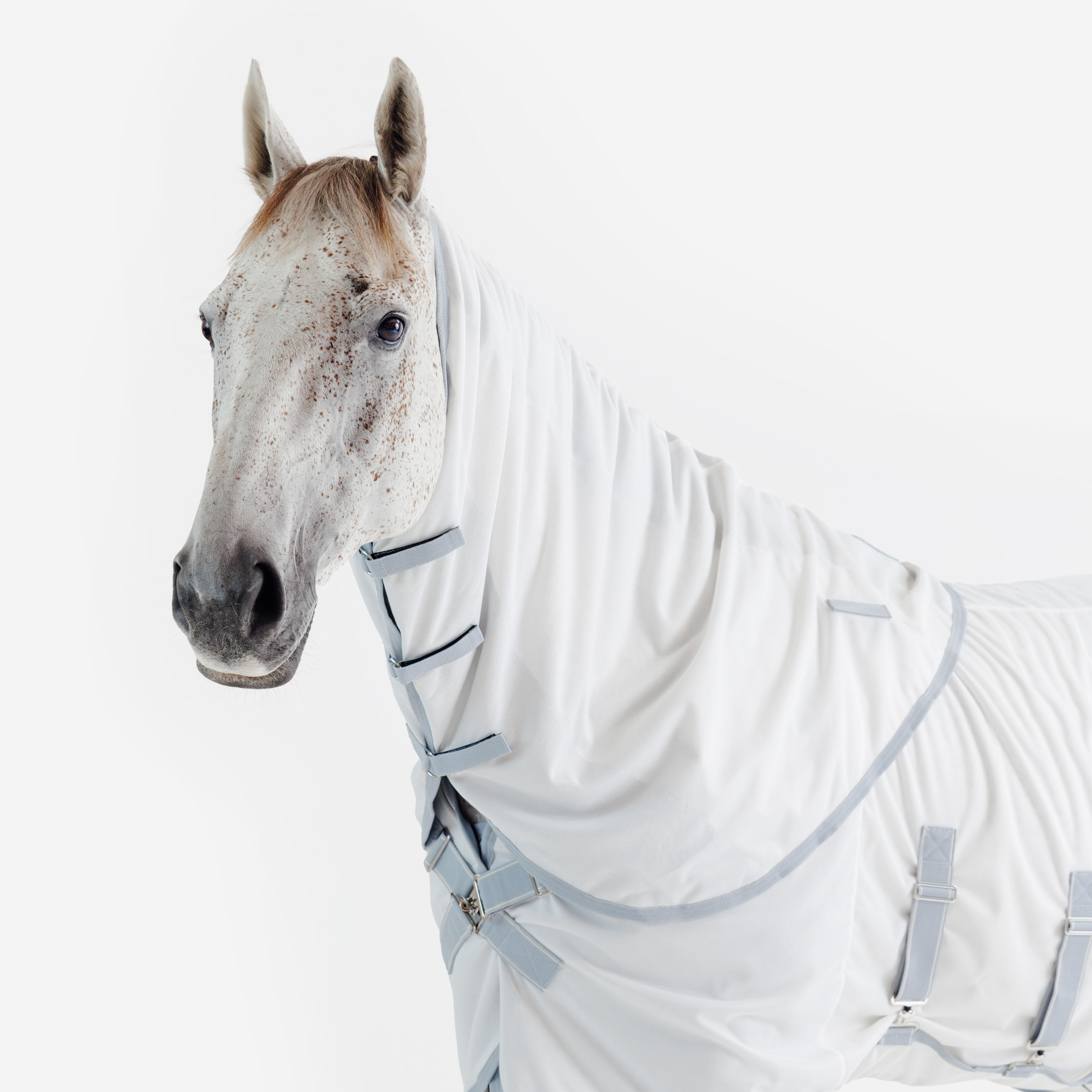 Chemise d’équitation anti-mouche pour cheval et poney, 500 - FOUGANZA