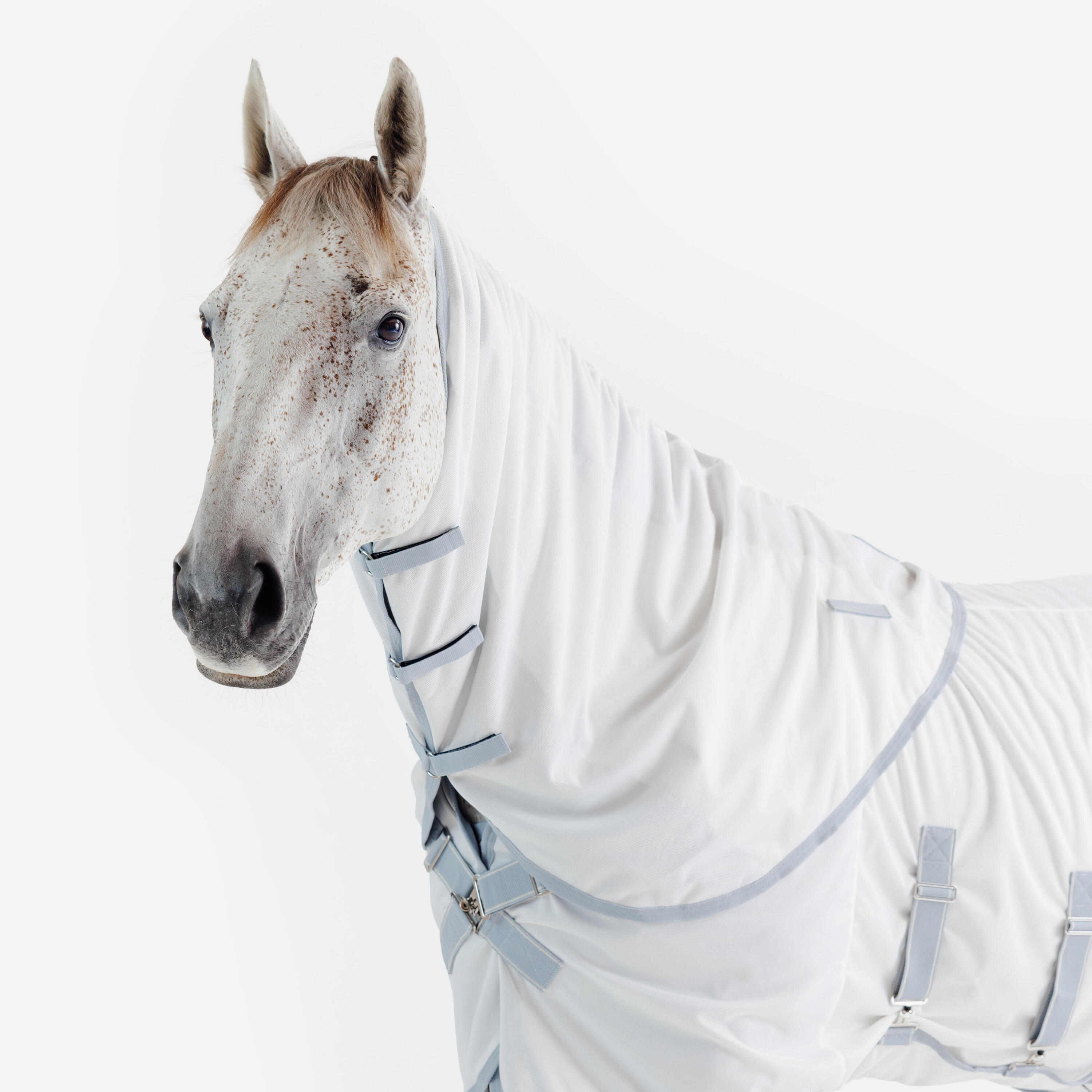 Chemise d’équitation anti-mouche pour cheval et poney, 500 12/14