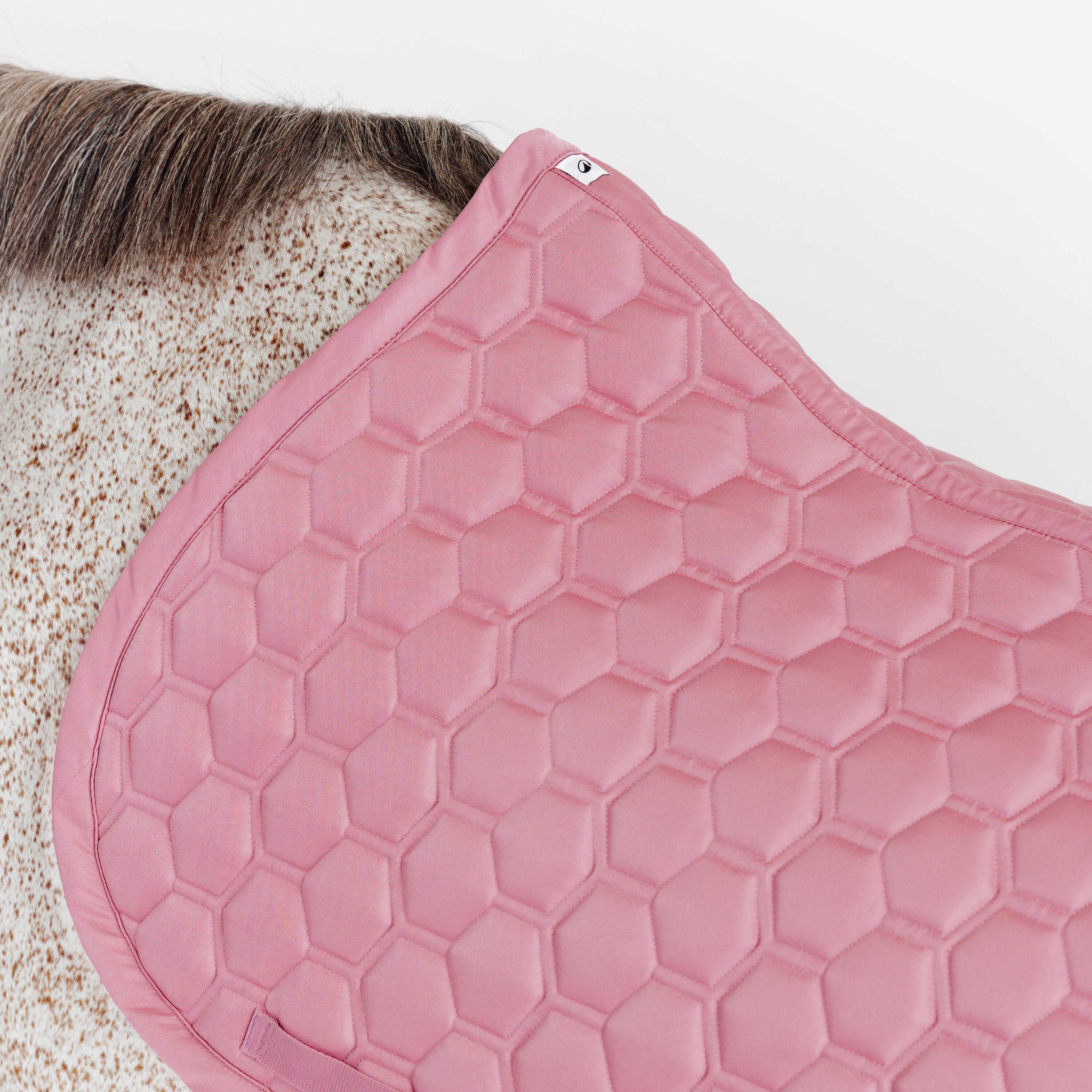 Mantilla Equitación Caballo 500 Rosa Litchi 3/5