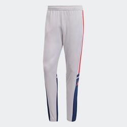 Pantalon d'entraînement adidas Squadra 25 Adulte Gris/Bleu Navy