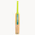 Cricket Kashmir Willow Bat KW150 - Green