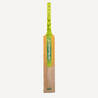 Kids Cricket Kashmir Willow Bat KW100 JR - Green