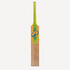 KIDS KASHMIR WILLOW CRICKET BAT KW 100 LITE GREEN