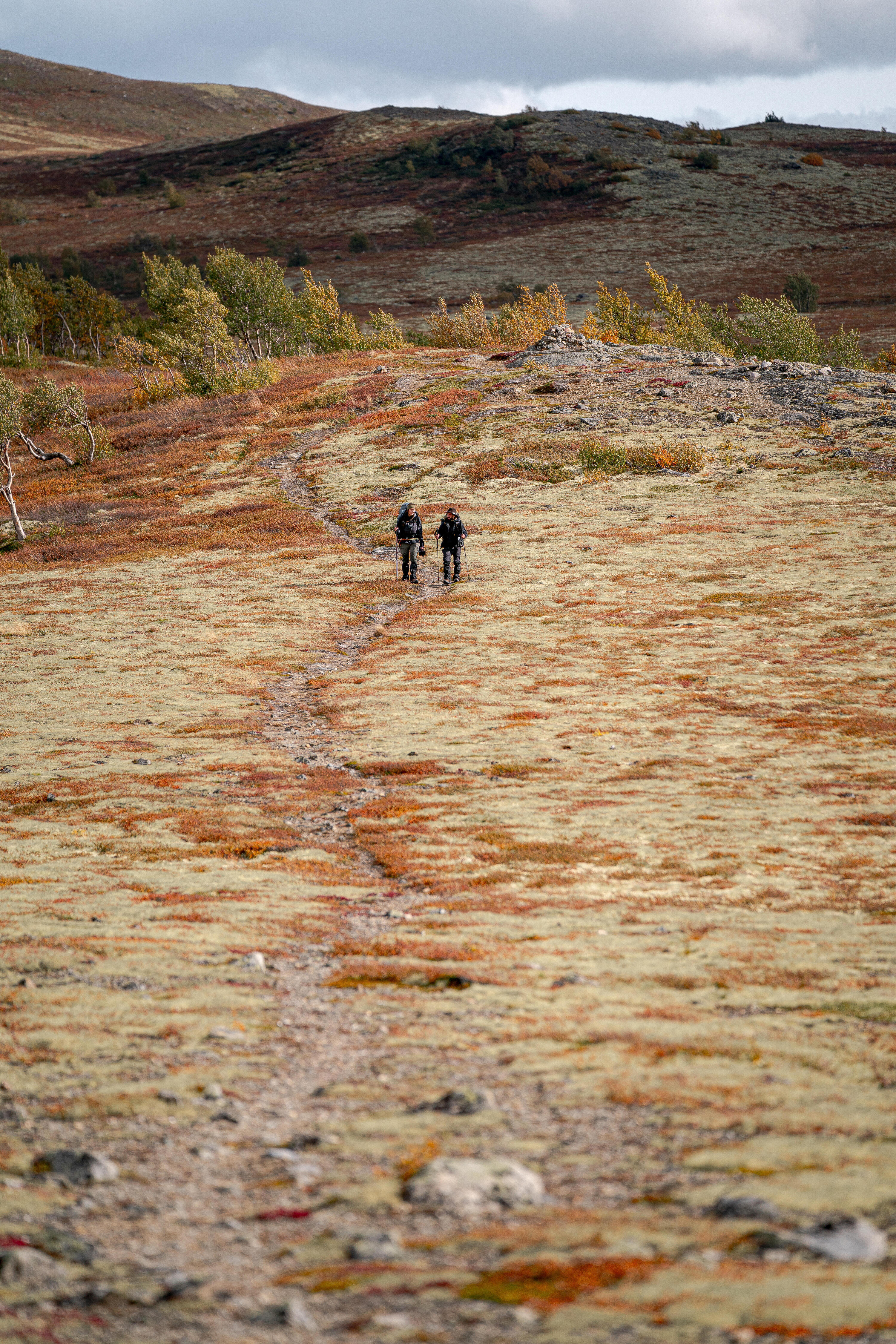 Trekkinghose Herren strapazierfähig - MT500  10/18