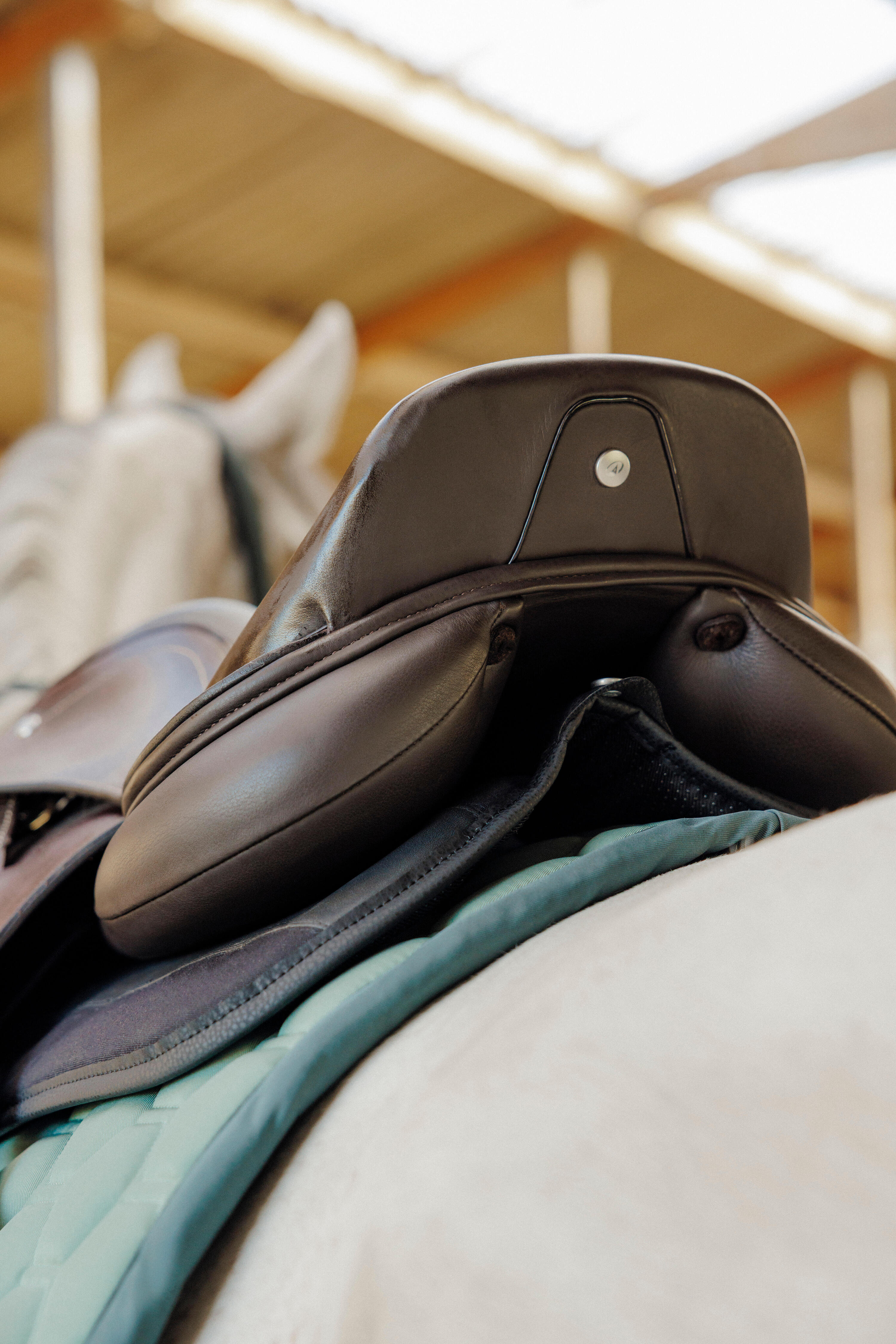 Sattelpad – 900 schwarz 10/10