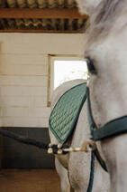 Tapis de selle