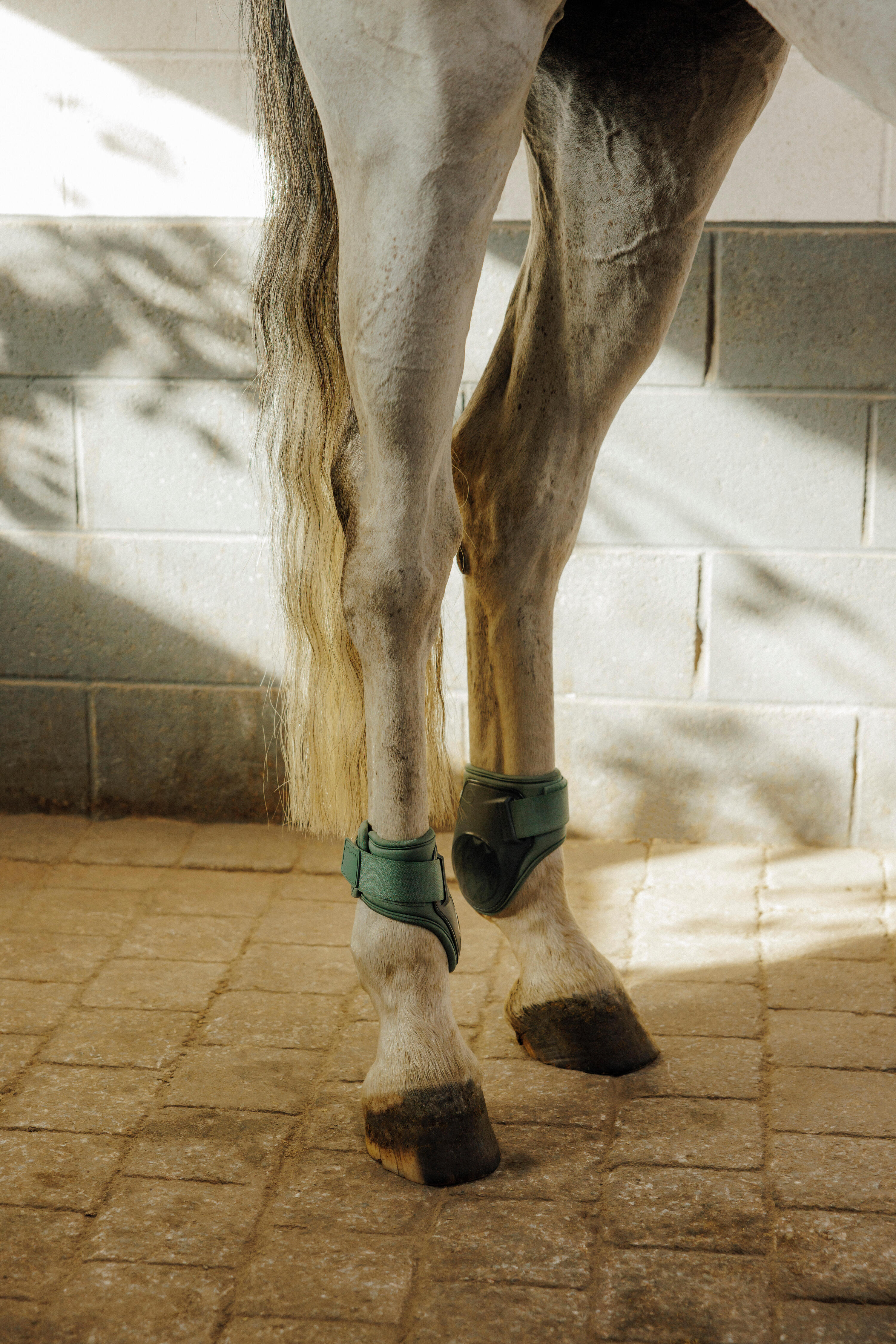 Protège-boulets cheval vert 500 x2 4/5