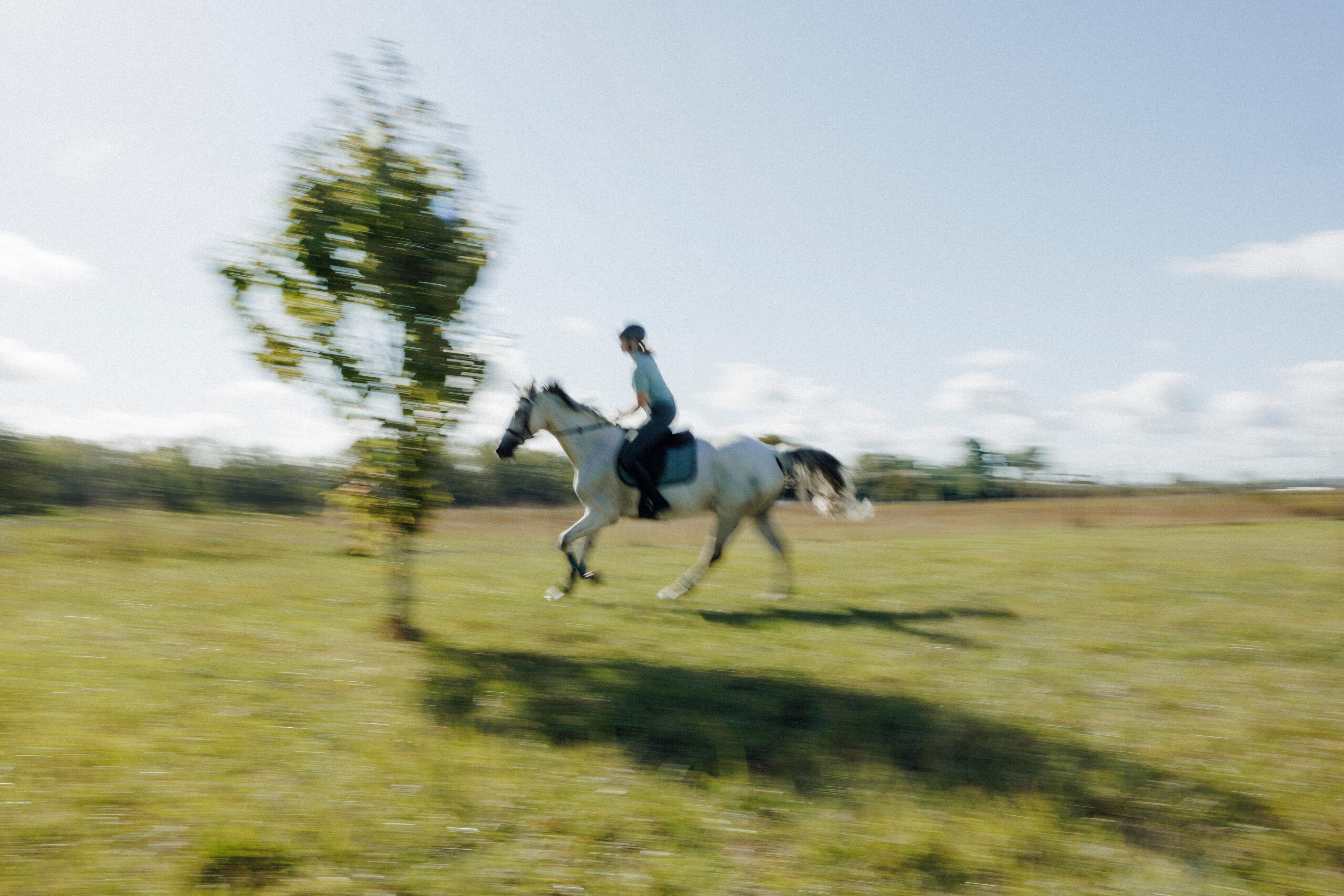 Women's Horse Riding Short-Sleeved Polo Shirt - Heritage Green - FOUGANZA