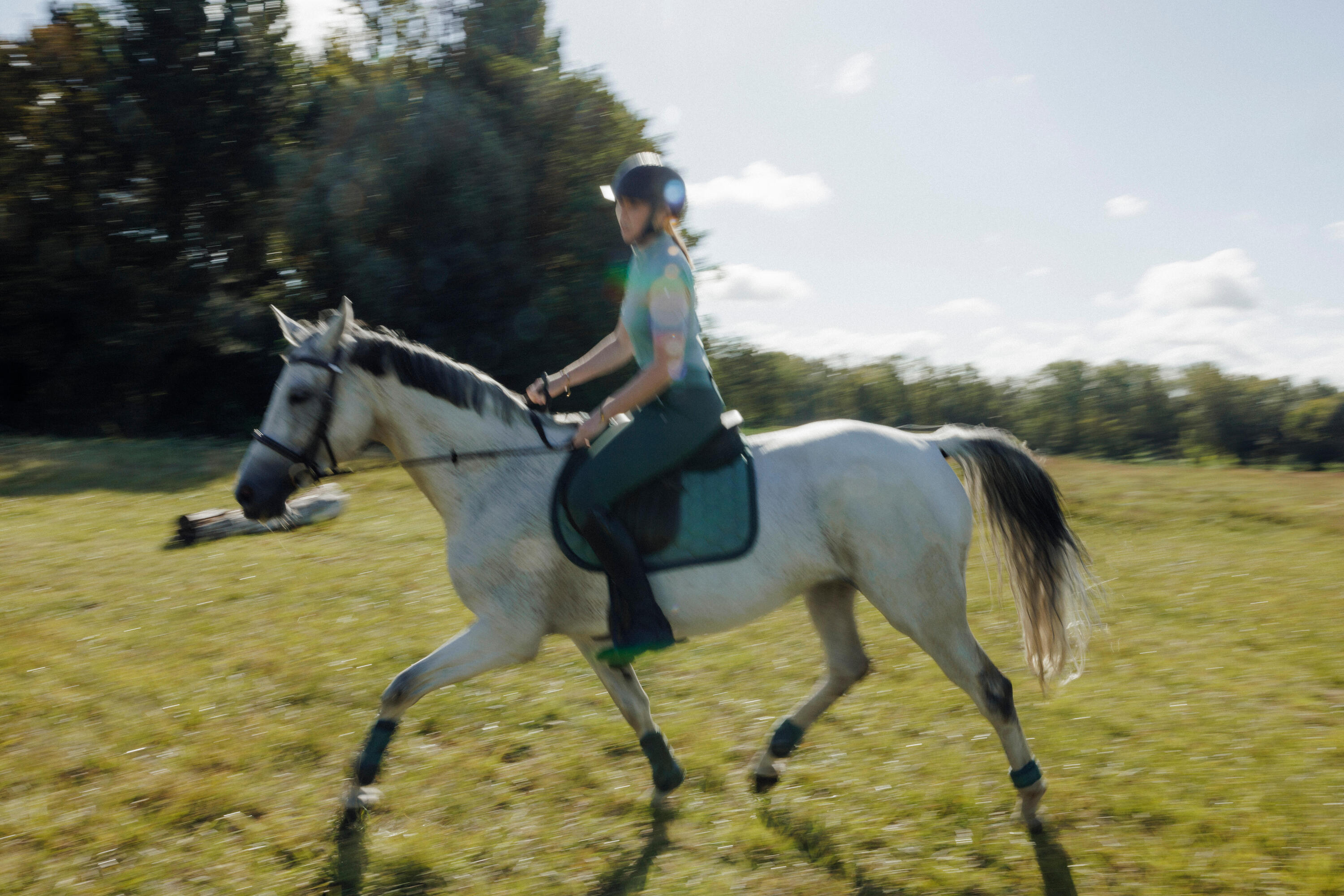 Sottosella equitazione cavallo e pony 500 verde 5/6