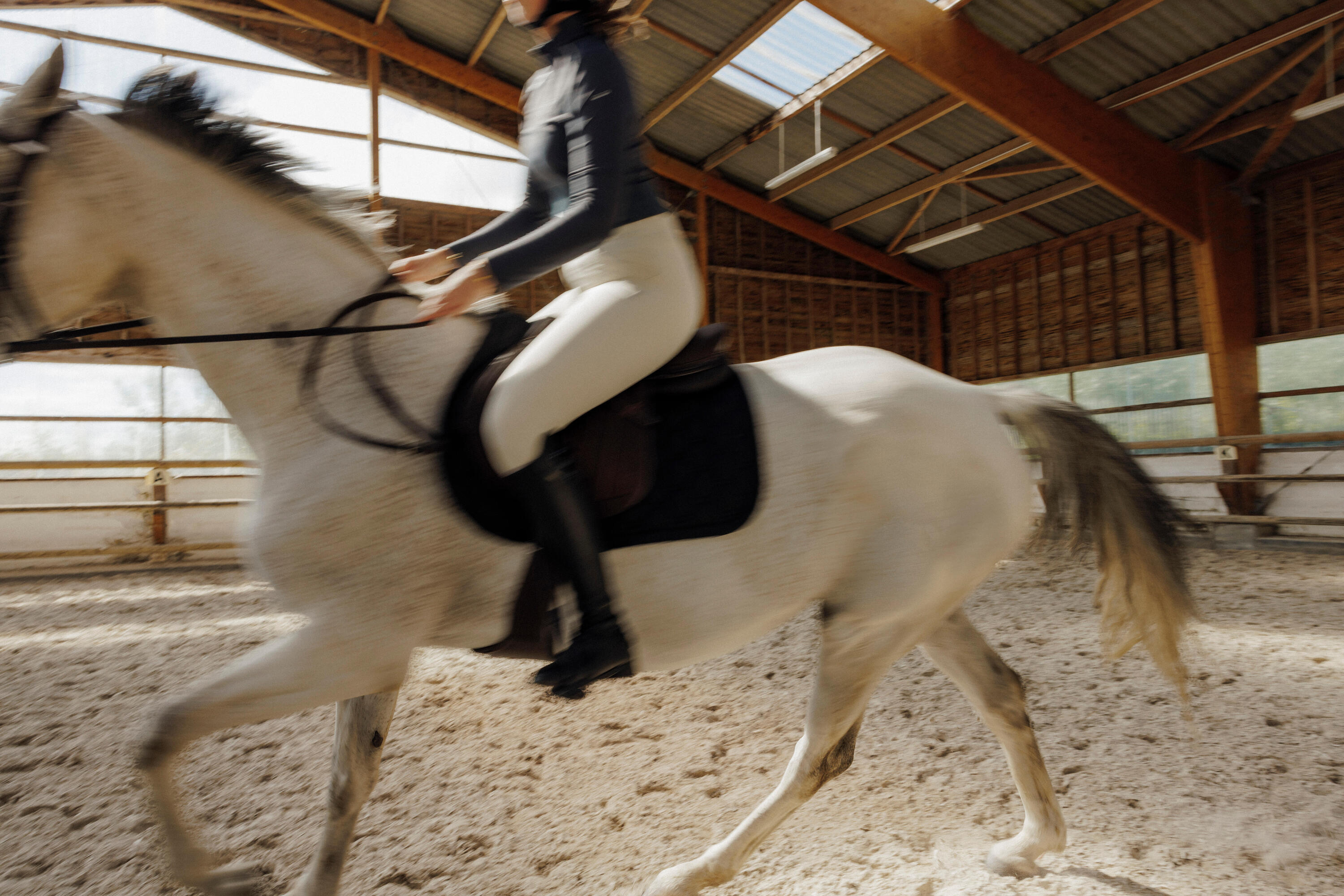 Tapis de selle d’équitation pour cheval et poney, 500 6/6