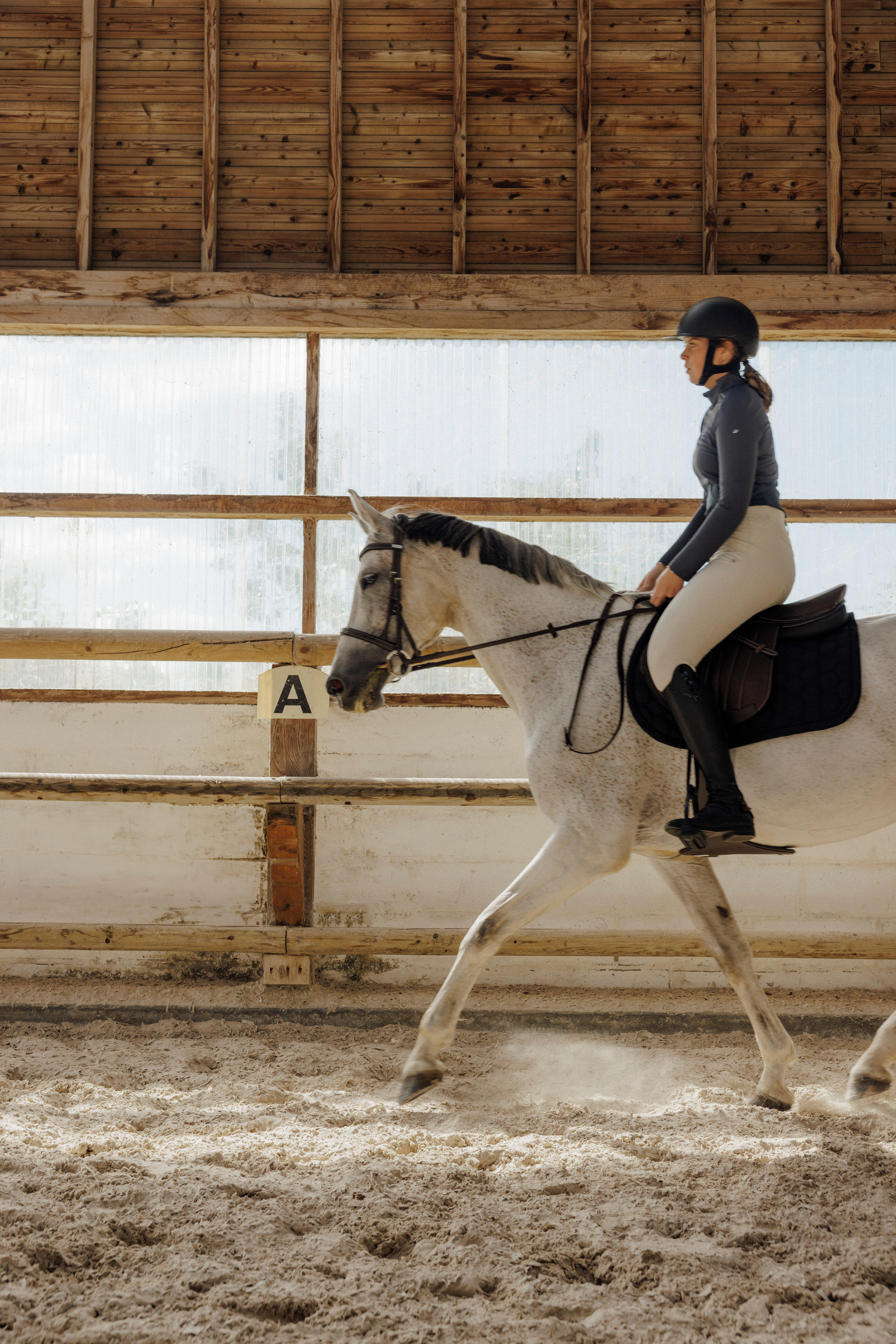 Tapis de selle d’équitation pour cheval et poney, 500 - FOUGANZA