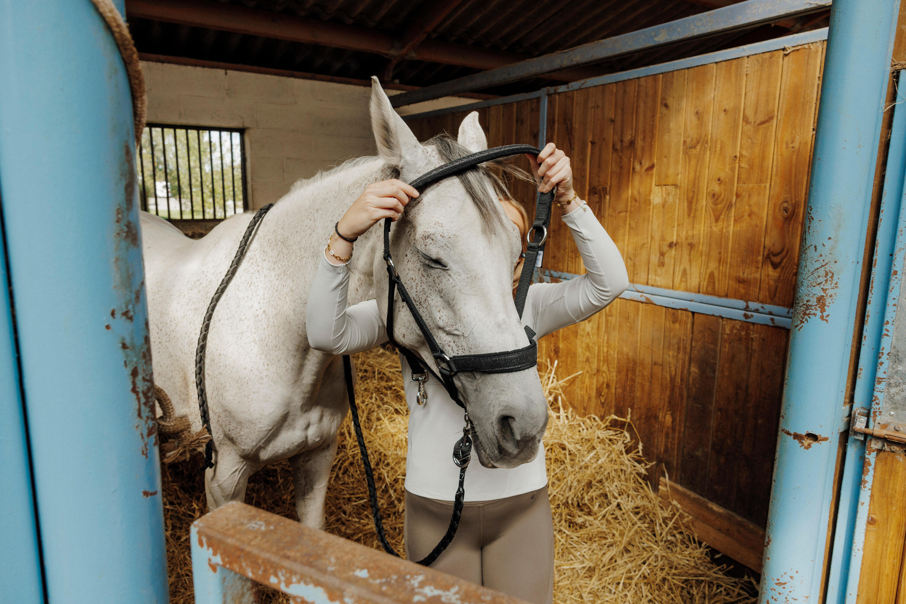 Licol équitation nubuck cheval - noir pailleté 2/3