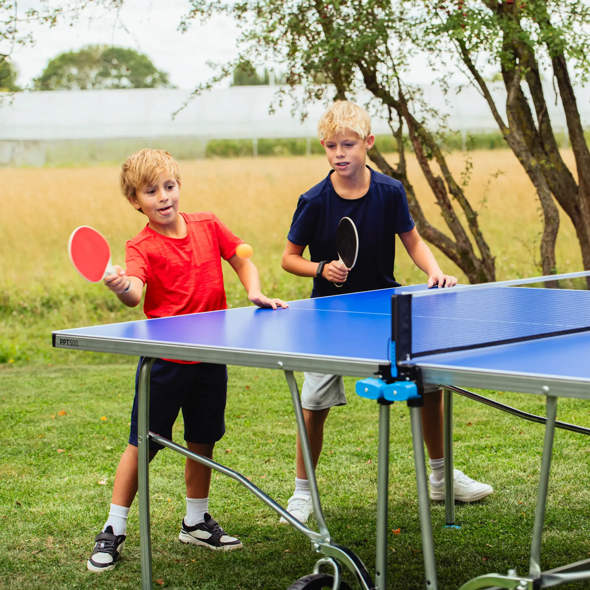 Tenis de mesa