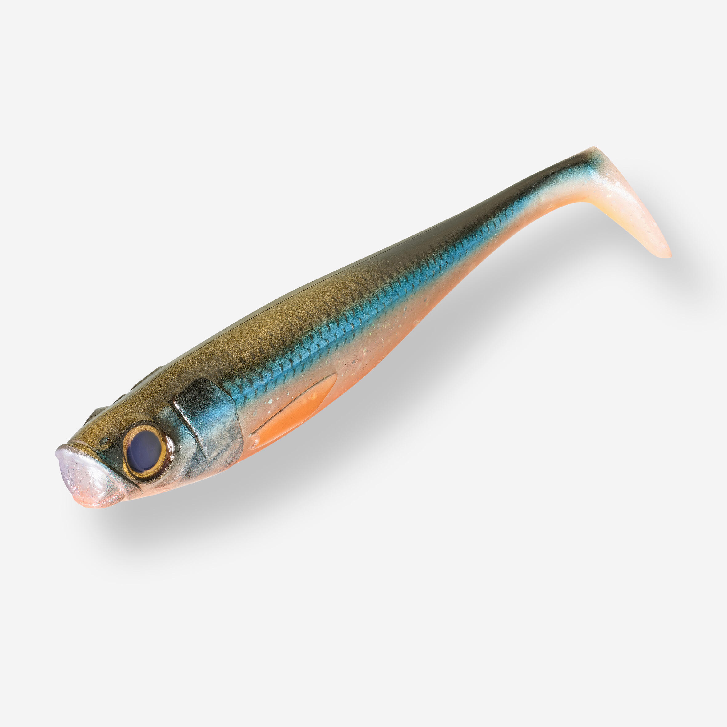 Artificiale morbido luccio shad ROGEN 250 roach x1 2/4