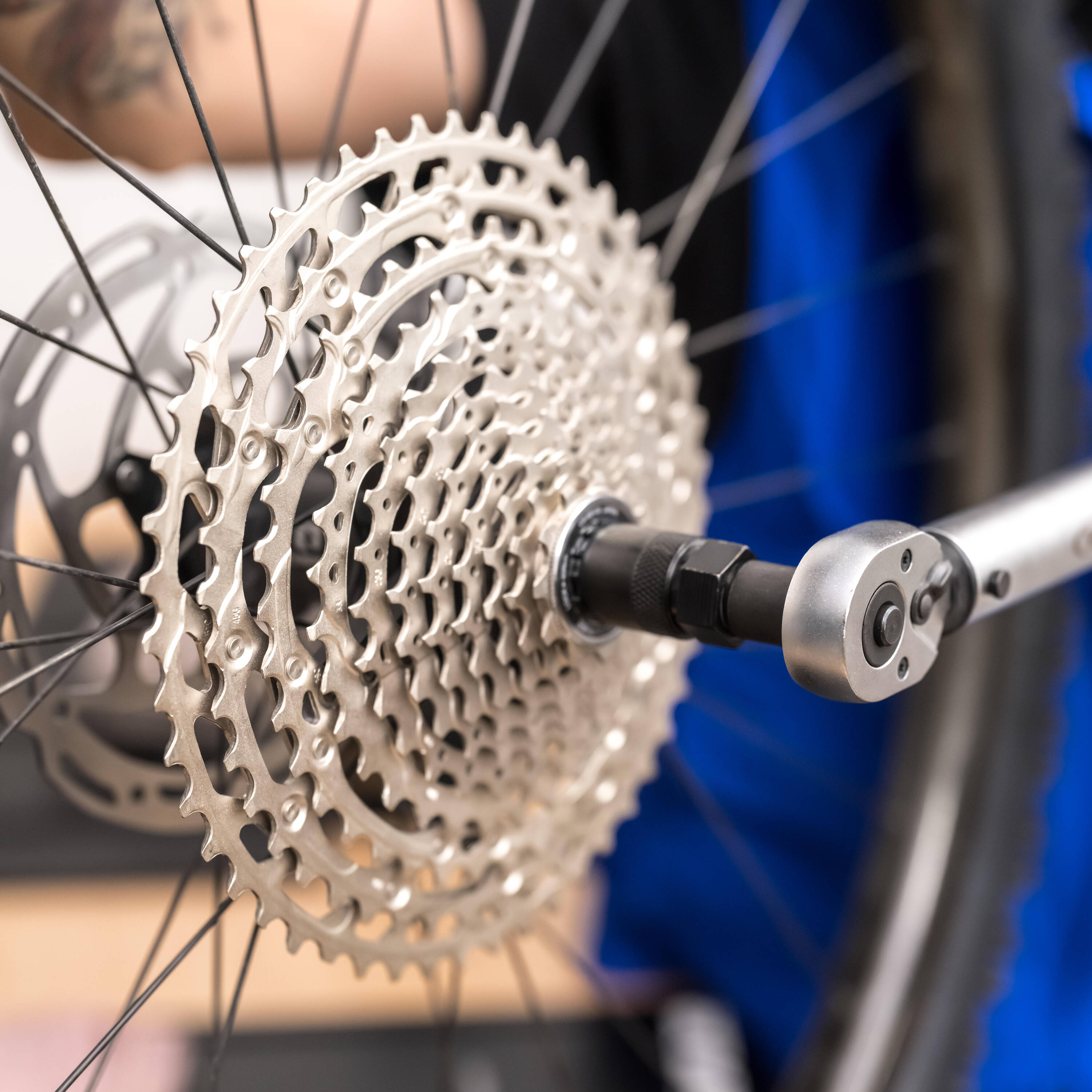 Freewheel or Cassette Replacement -  1