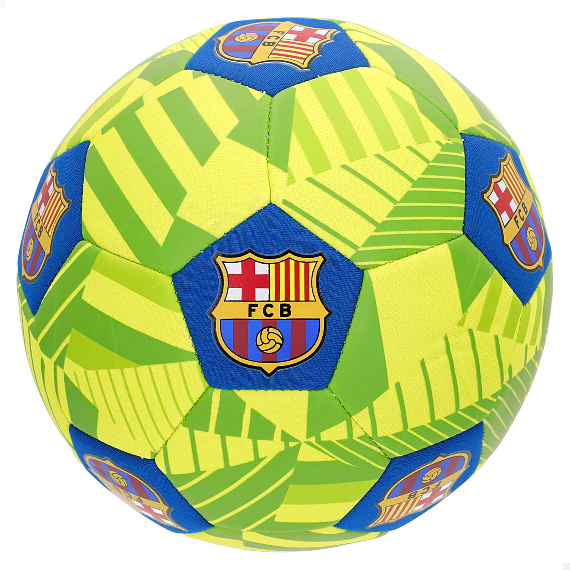 FC BARCELONA picture