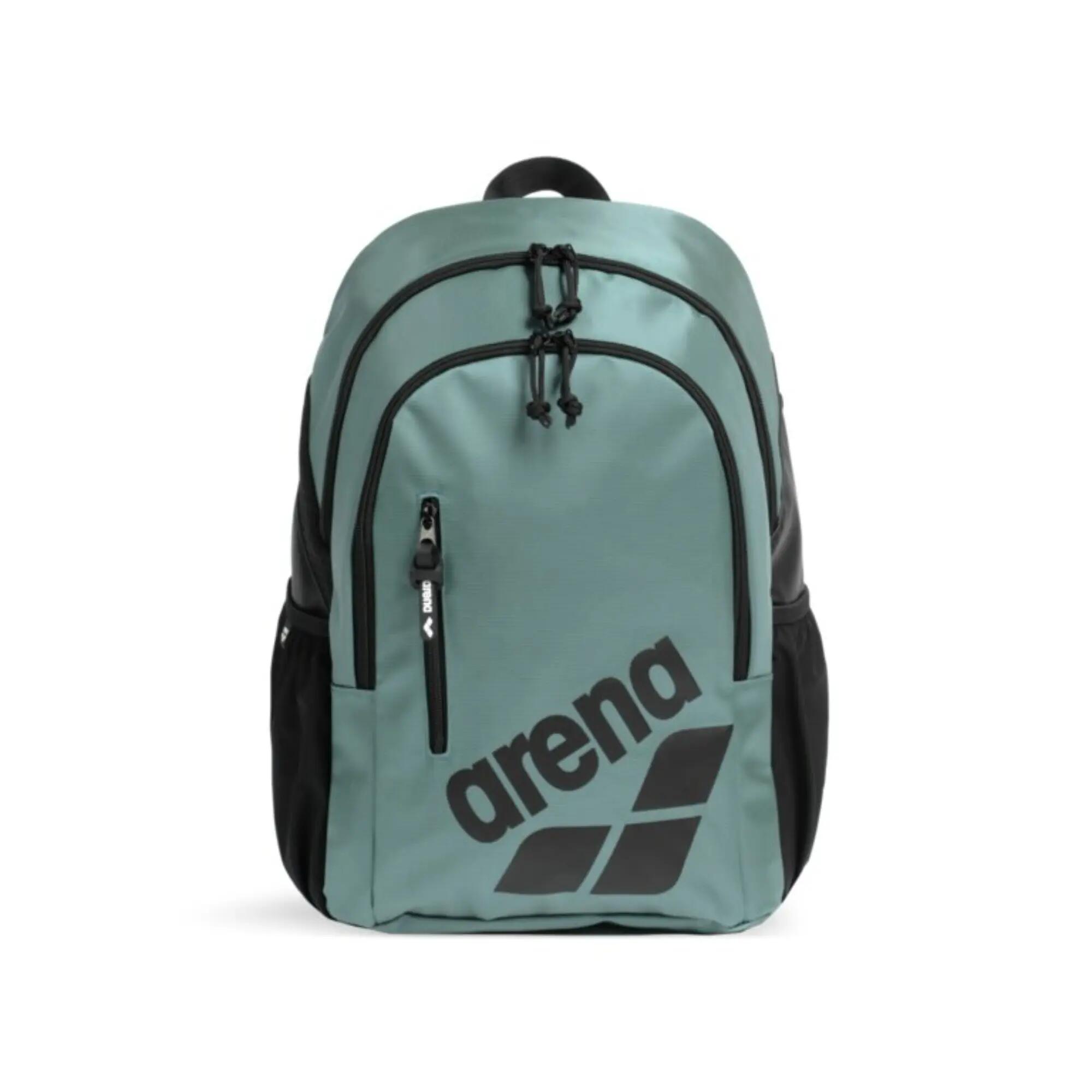 ARENA picture