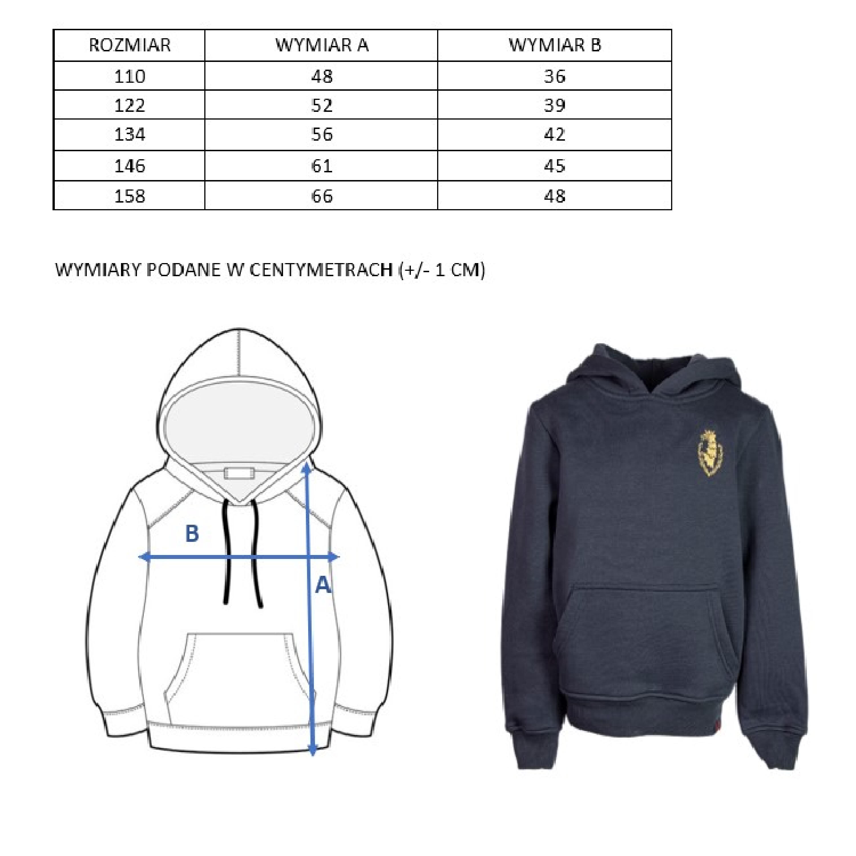 Bluza dla dzieci Pogoń z haftowanym gryfem 3/3