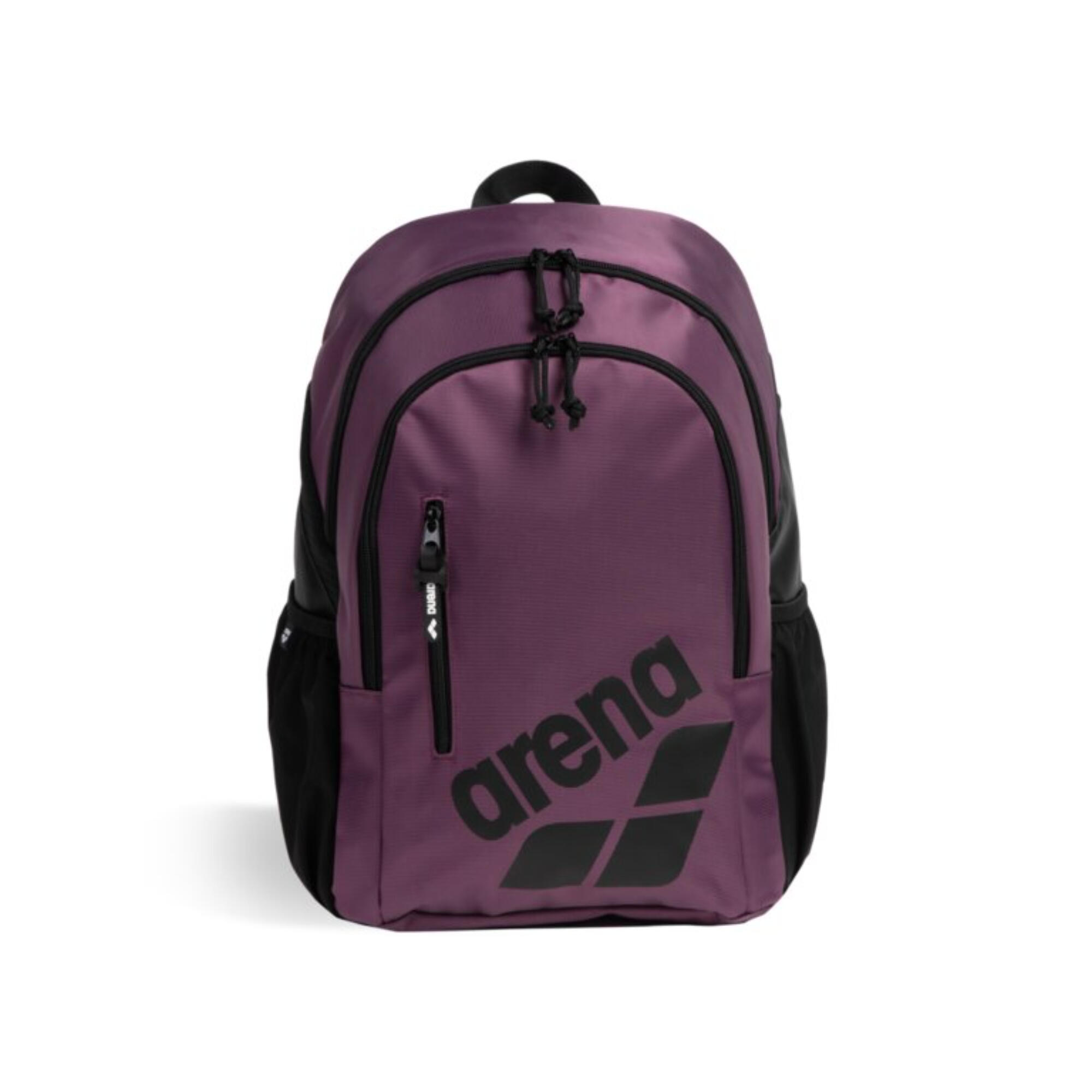 ARENA picture