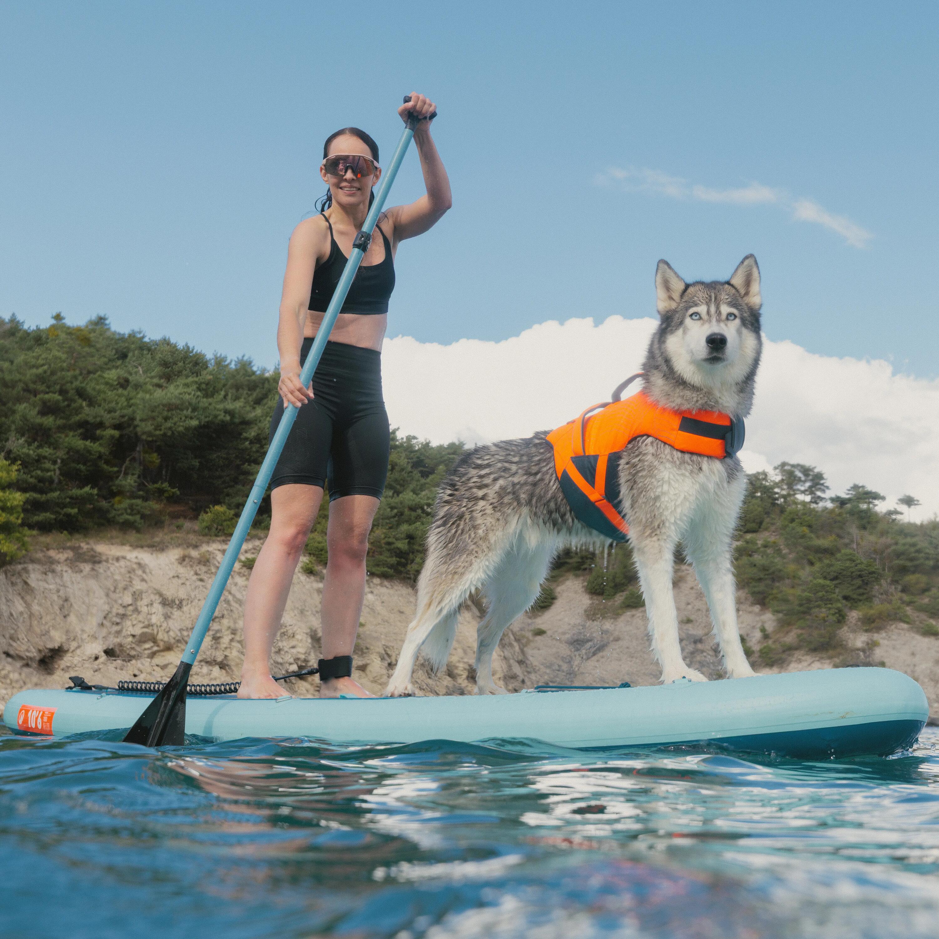 Deportes de agua con perro, paddle surf, stand up paddle