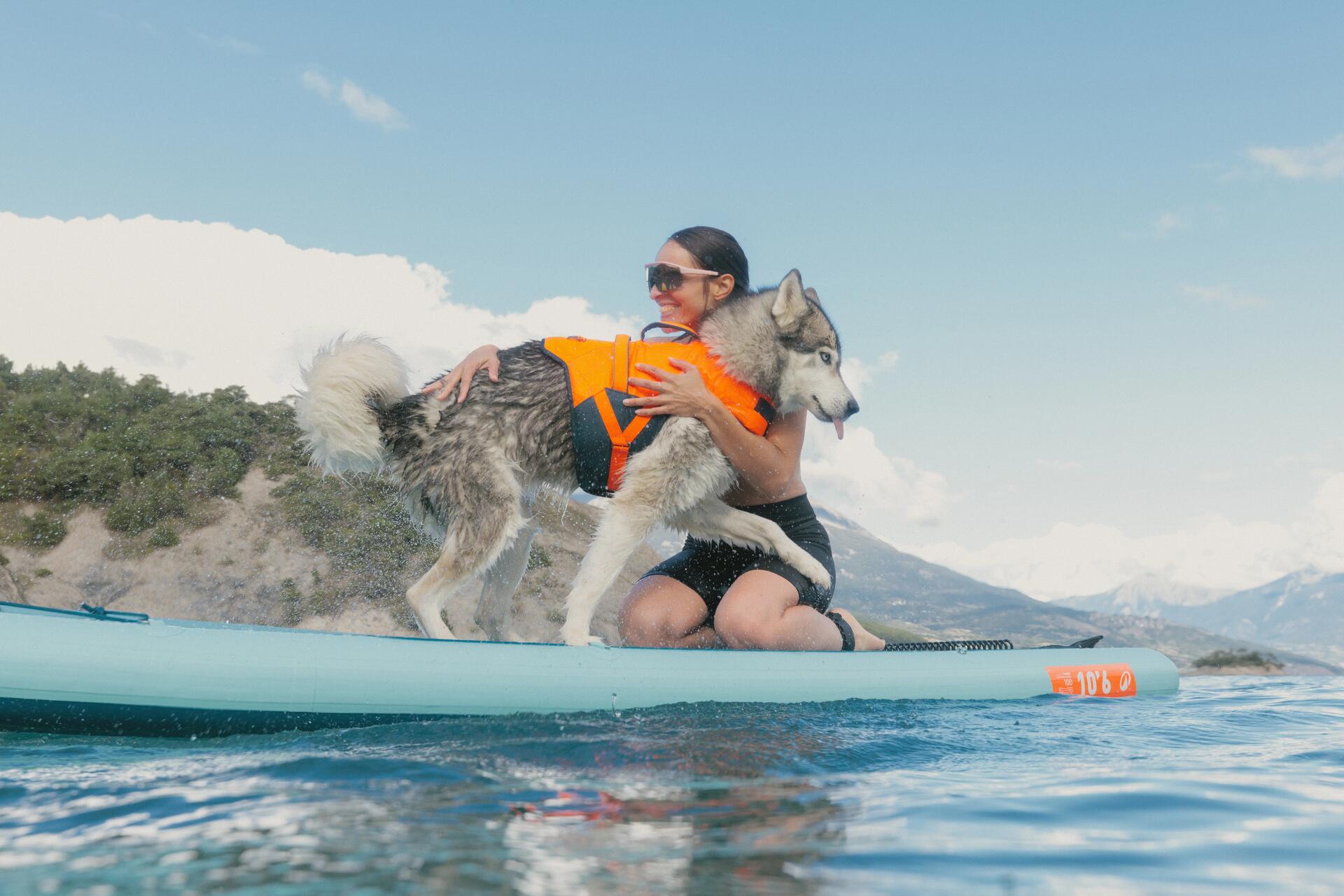Dog on a canoe wearing a buoyancy aid