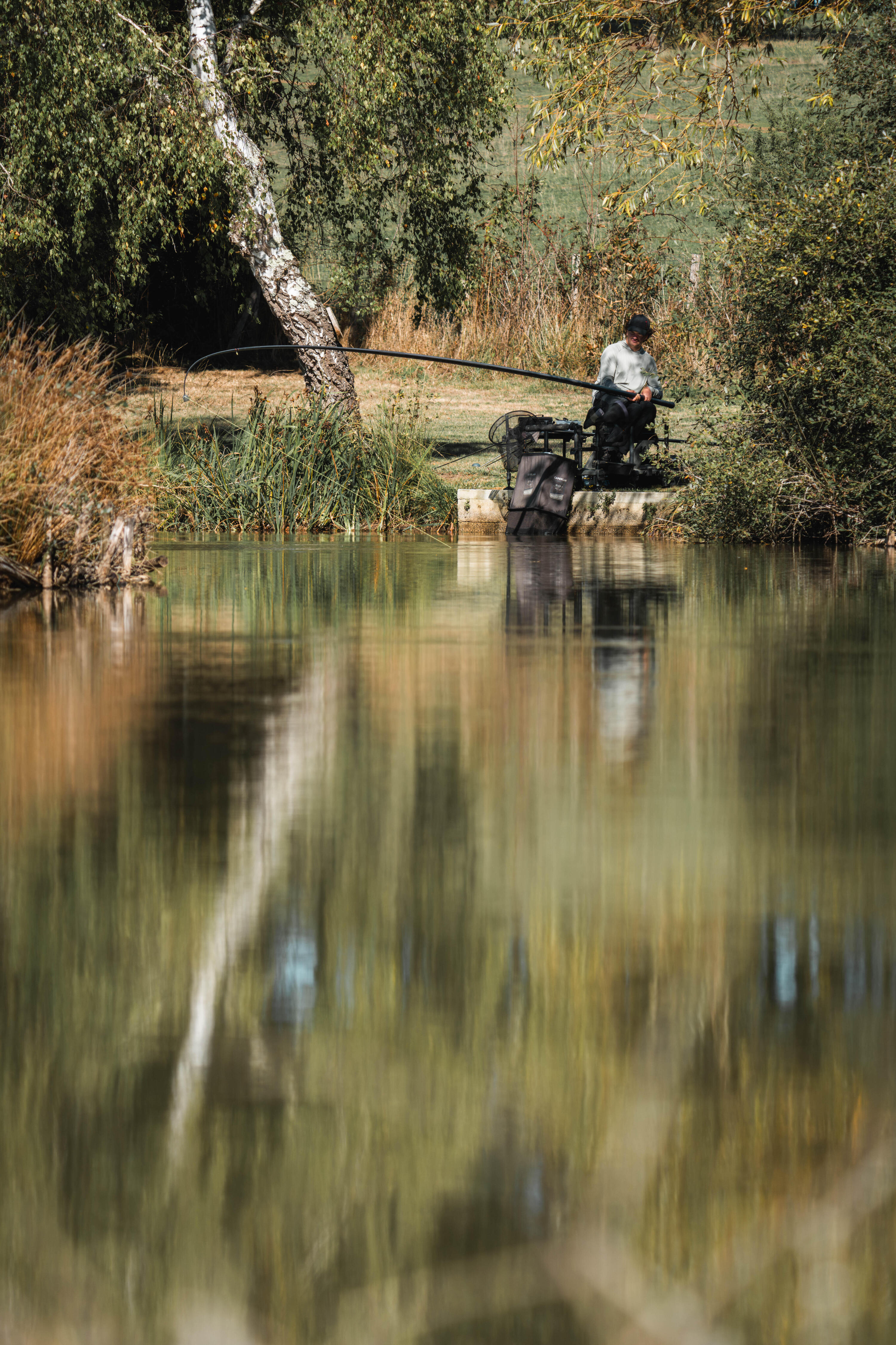 Canna carp fishing al colpo NRTH 500R CARP 11m 11/14
