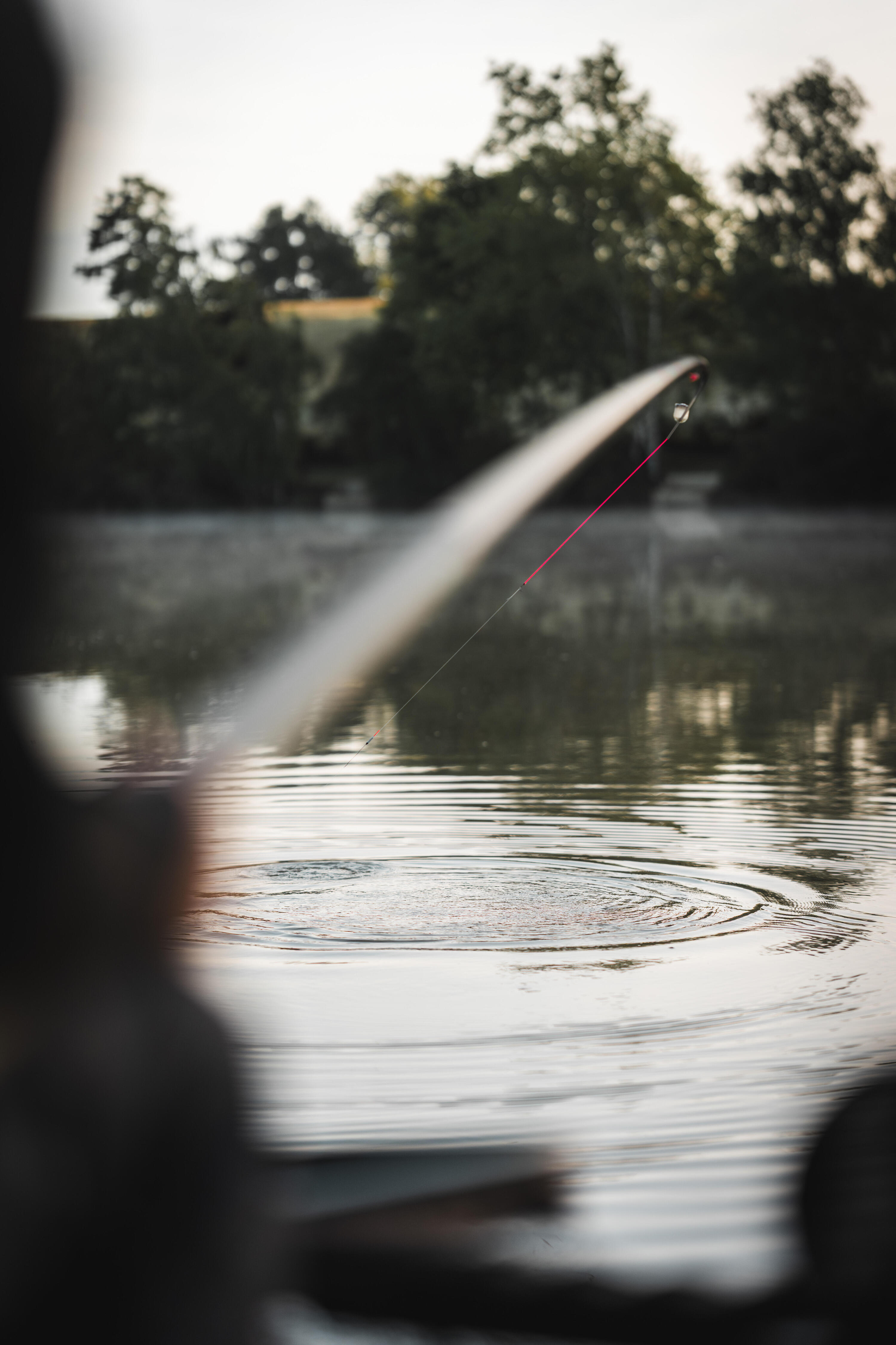 KIT DE 2,7M POUR LA CANNE DE LA PECHE DE LA CARPE AU COUP NRTH 500 500R CARP 9/11
